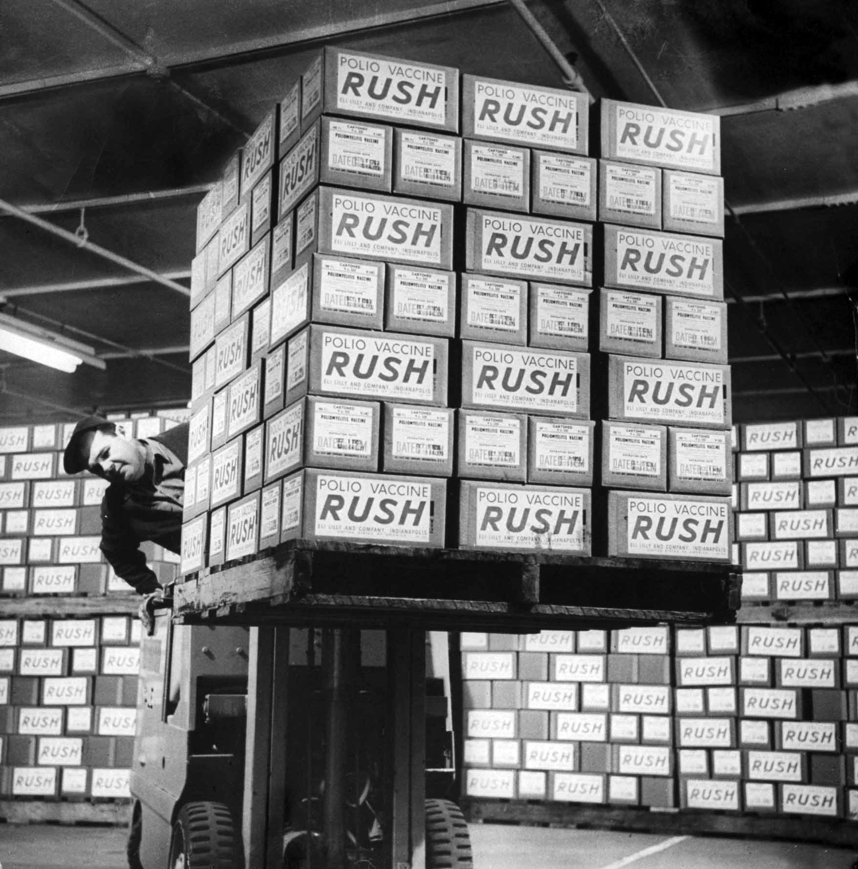 Polio vaccine production, 1955.
