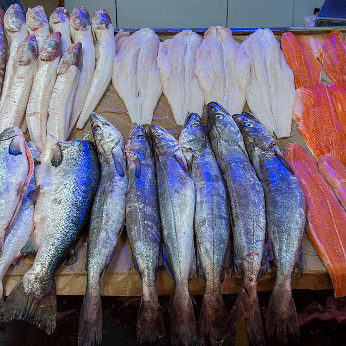 CHILE - 2013/12/13: Market scene with fresh fish for sale in the market hall in Angelmo, Puerto Montt in southern Chile. (Photo by Wolfgang Kaehler/LightRocket via Getty Images)