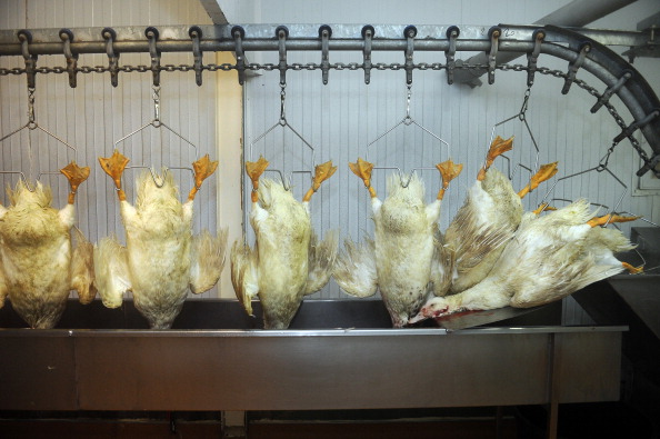 FRANCE-AGRICULTURE-ANIMAL-GASTRONOMY