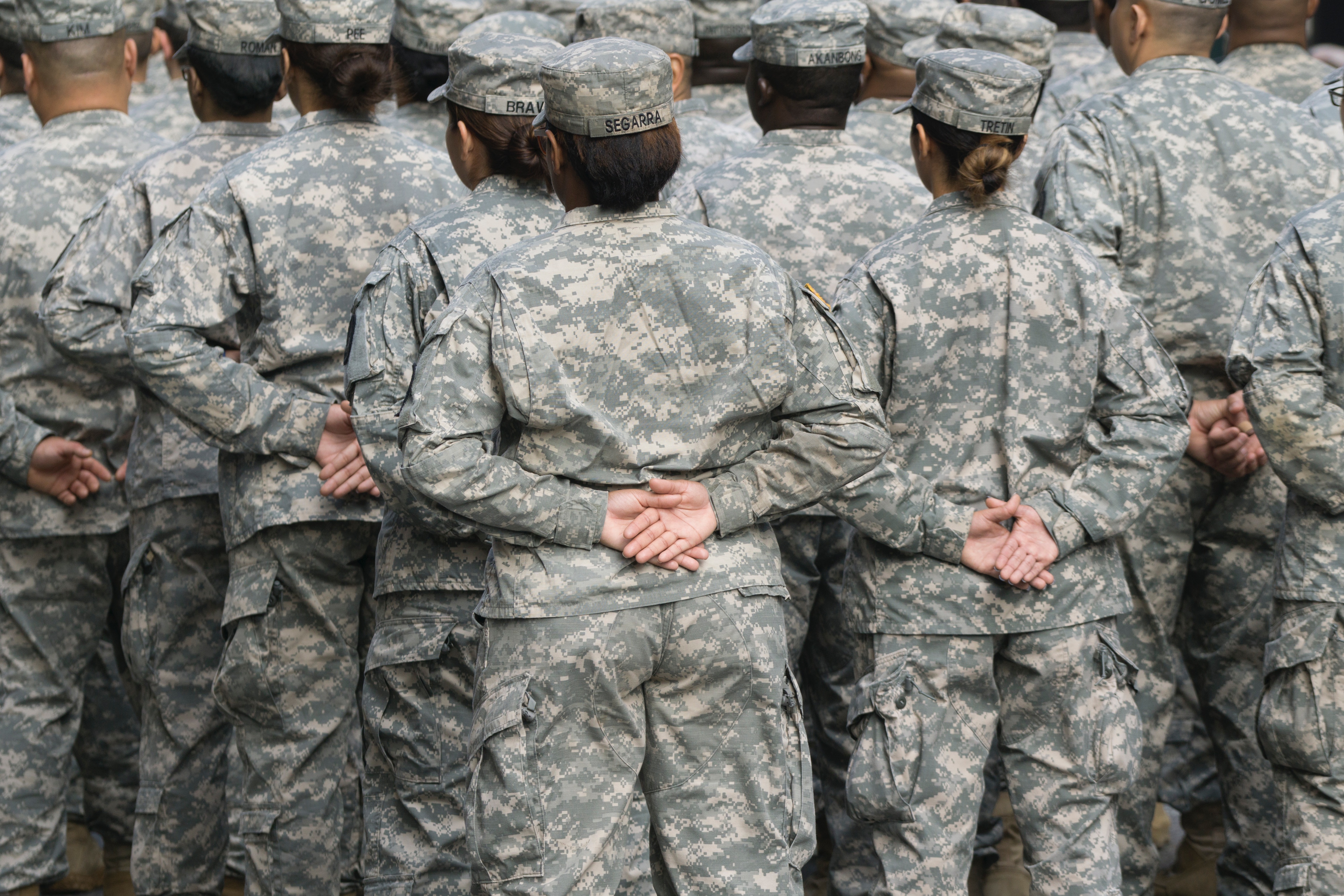 Veteran's Day