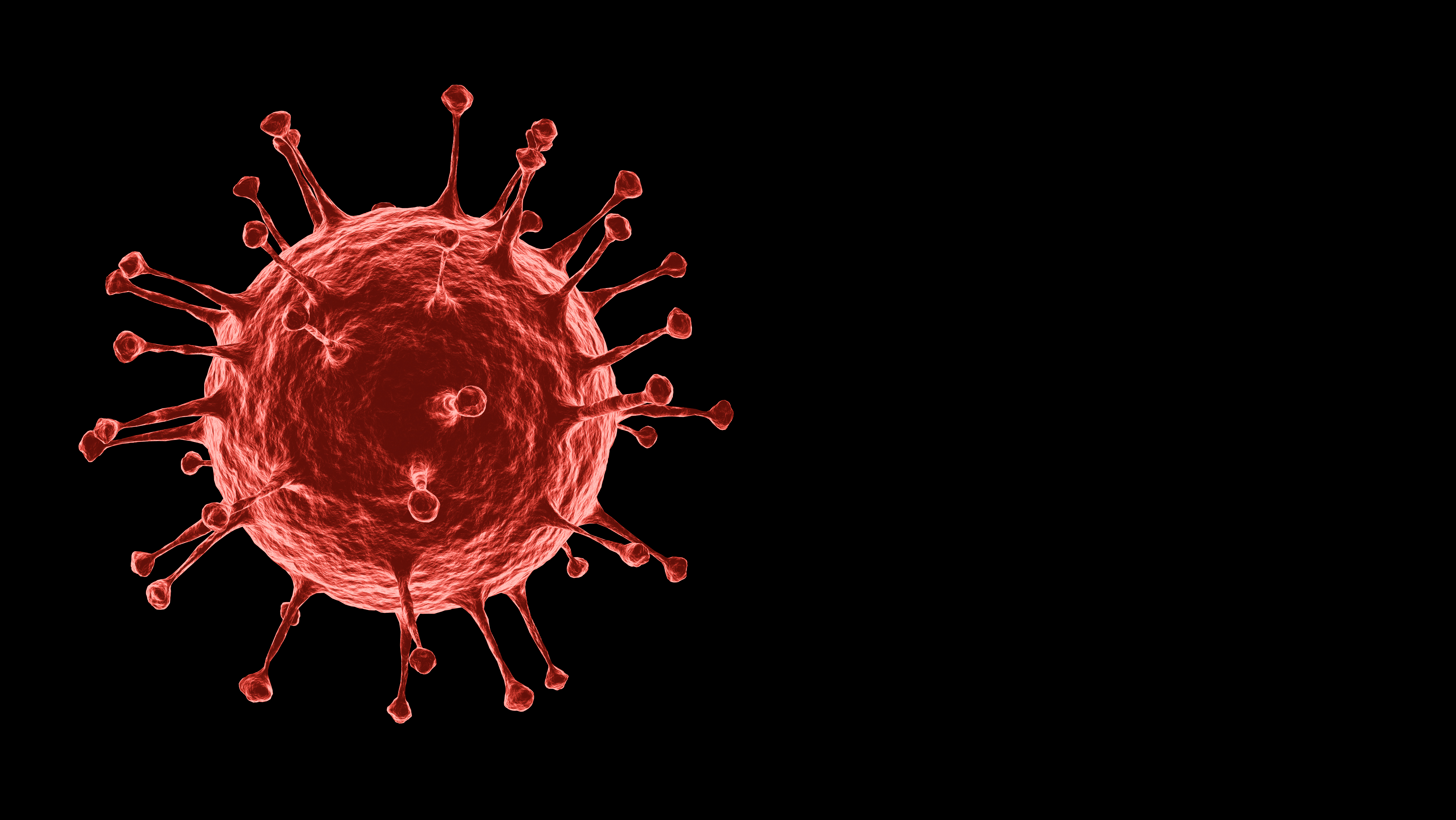 3D rendering Microscopic illustration of the spreading 2019 corona virus or Covid-19 on alpha layer black Background