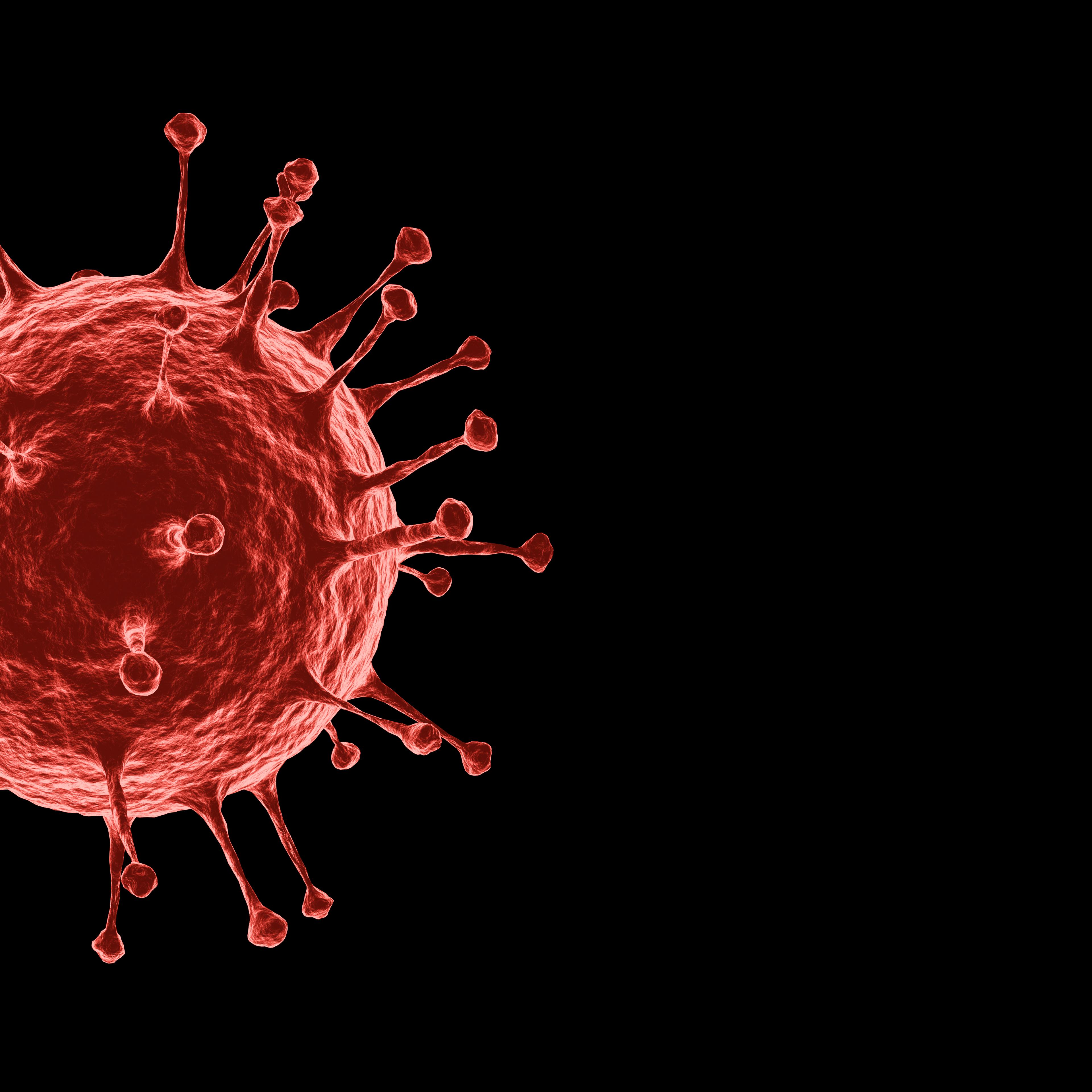 3D rendering Microscopic illustration of the spreading 2019 corona virus or Covid-19 on alpha layer black Background