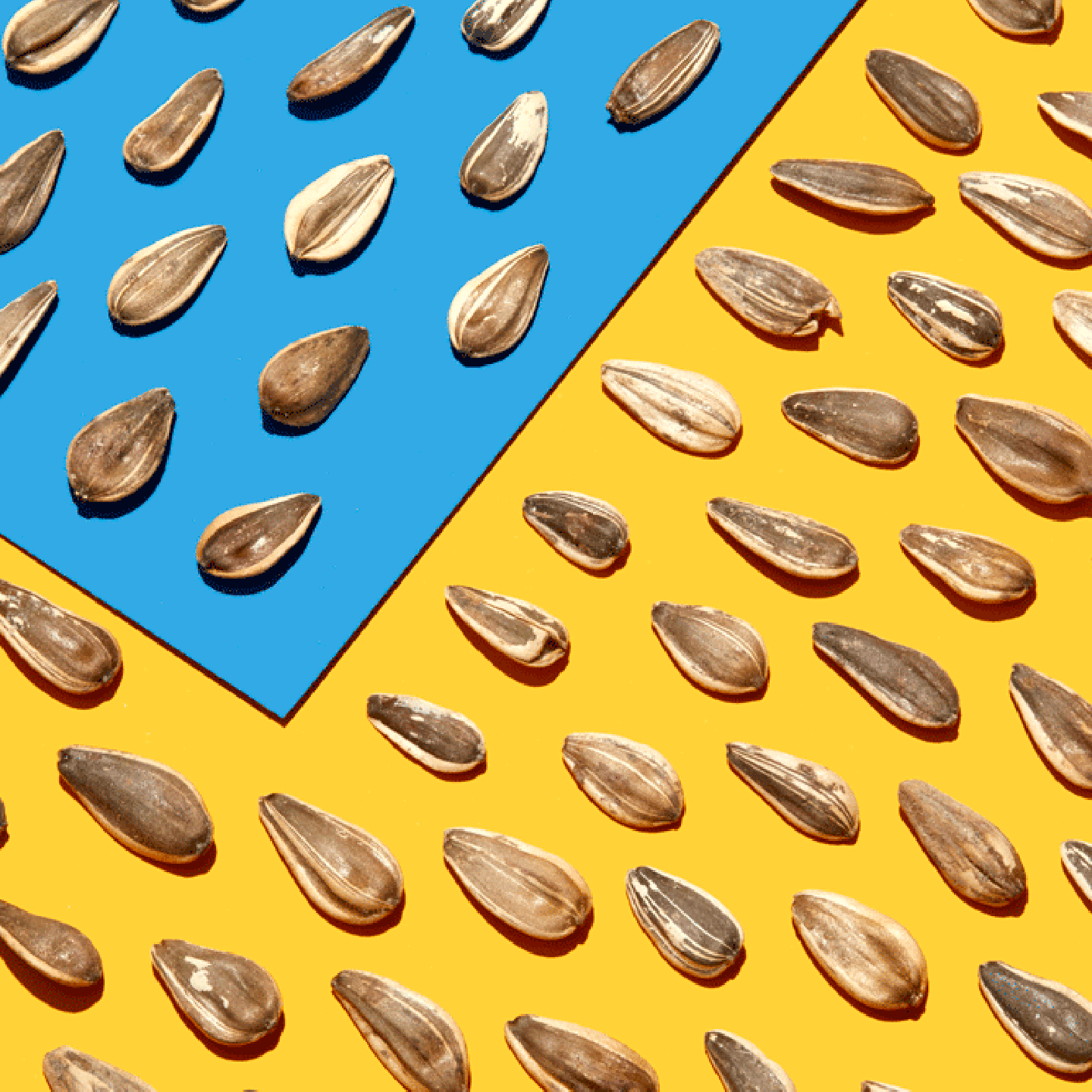 healthiest foods, health food, diet, nutrition, time.com stock, sunflower seeds