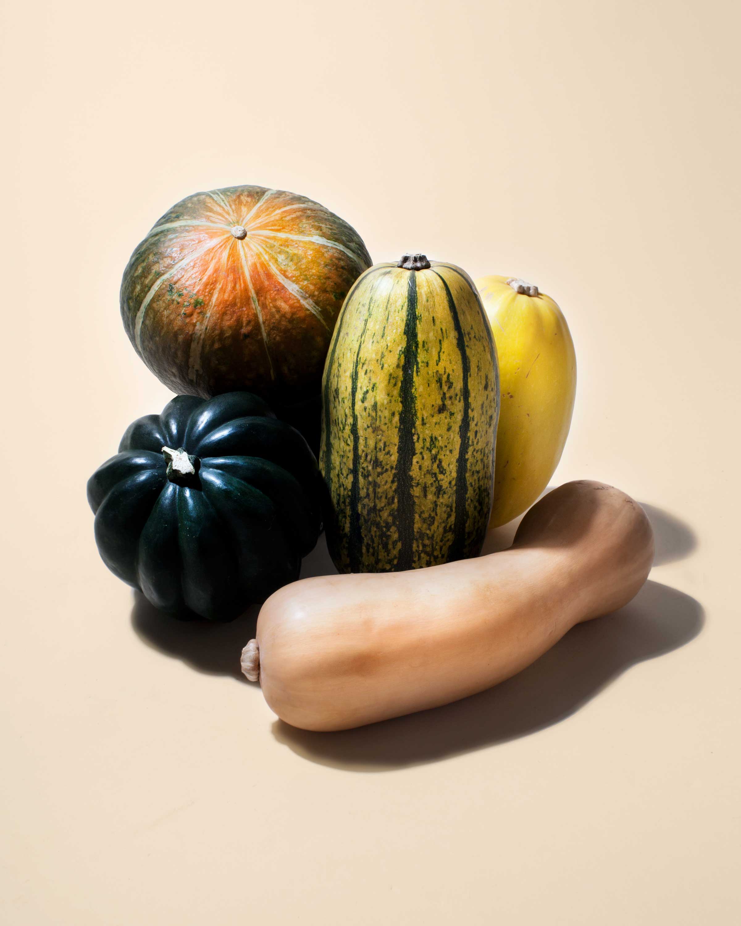 squash-delicata-butternut-acorn-kabocha-spaghetti