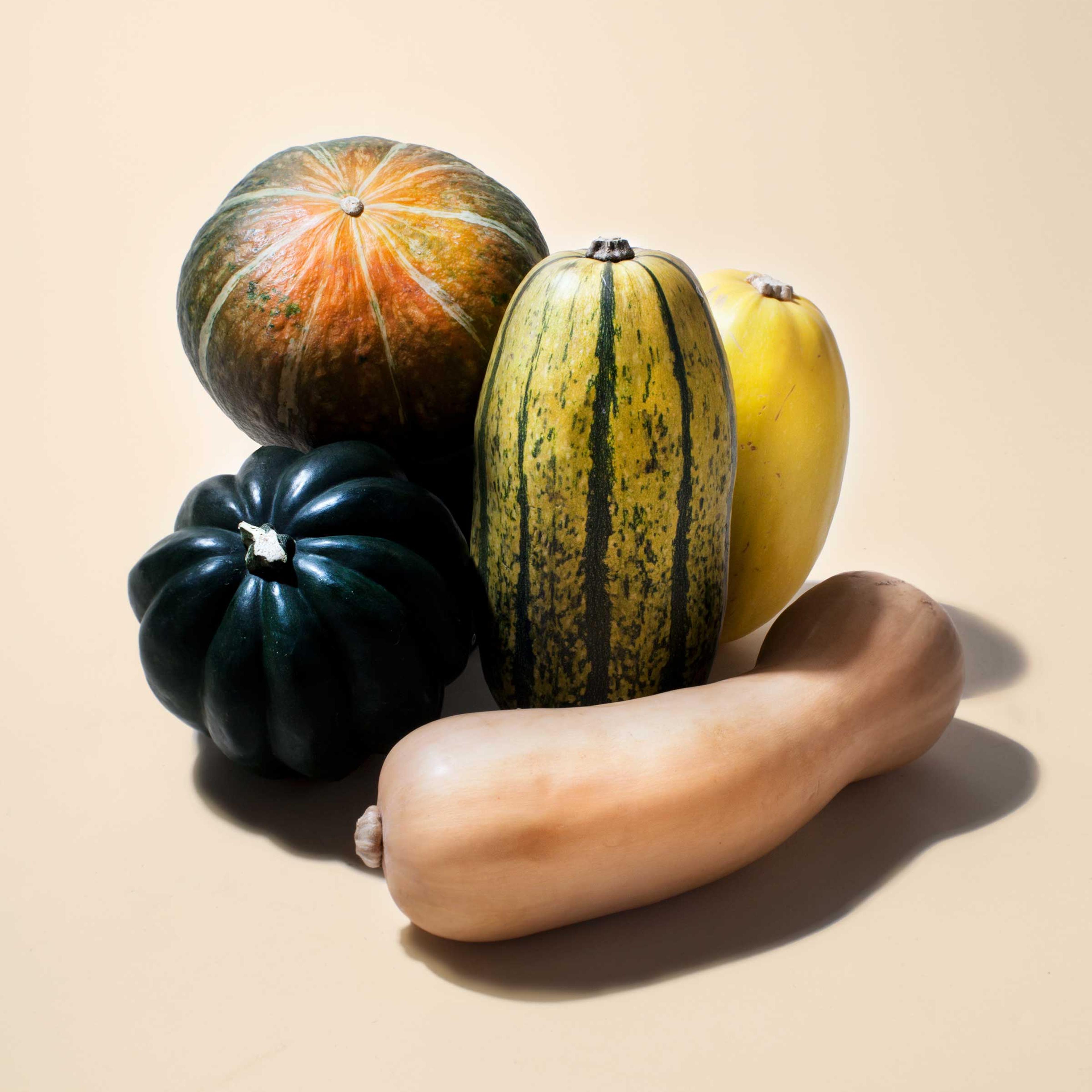 squash-delicata-butternut-acorn-kabocha-spaghetti