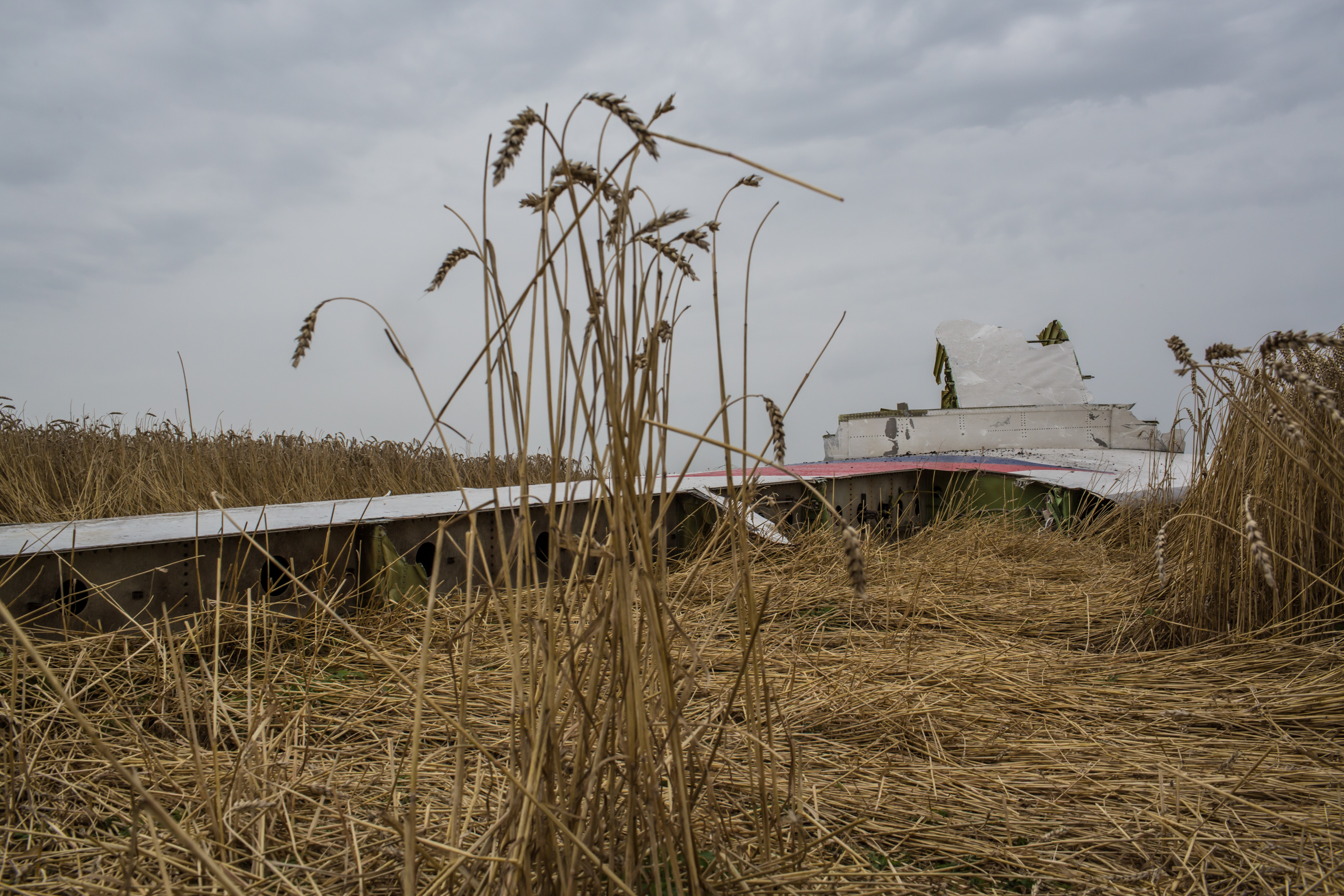 Air Malaysian Passenger Jet Crashes in Eastern Ukraine