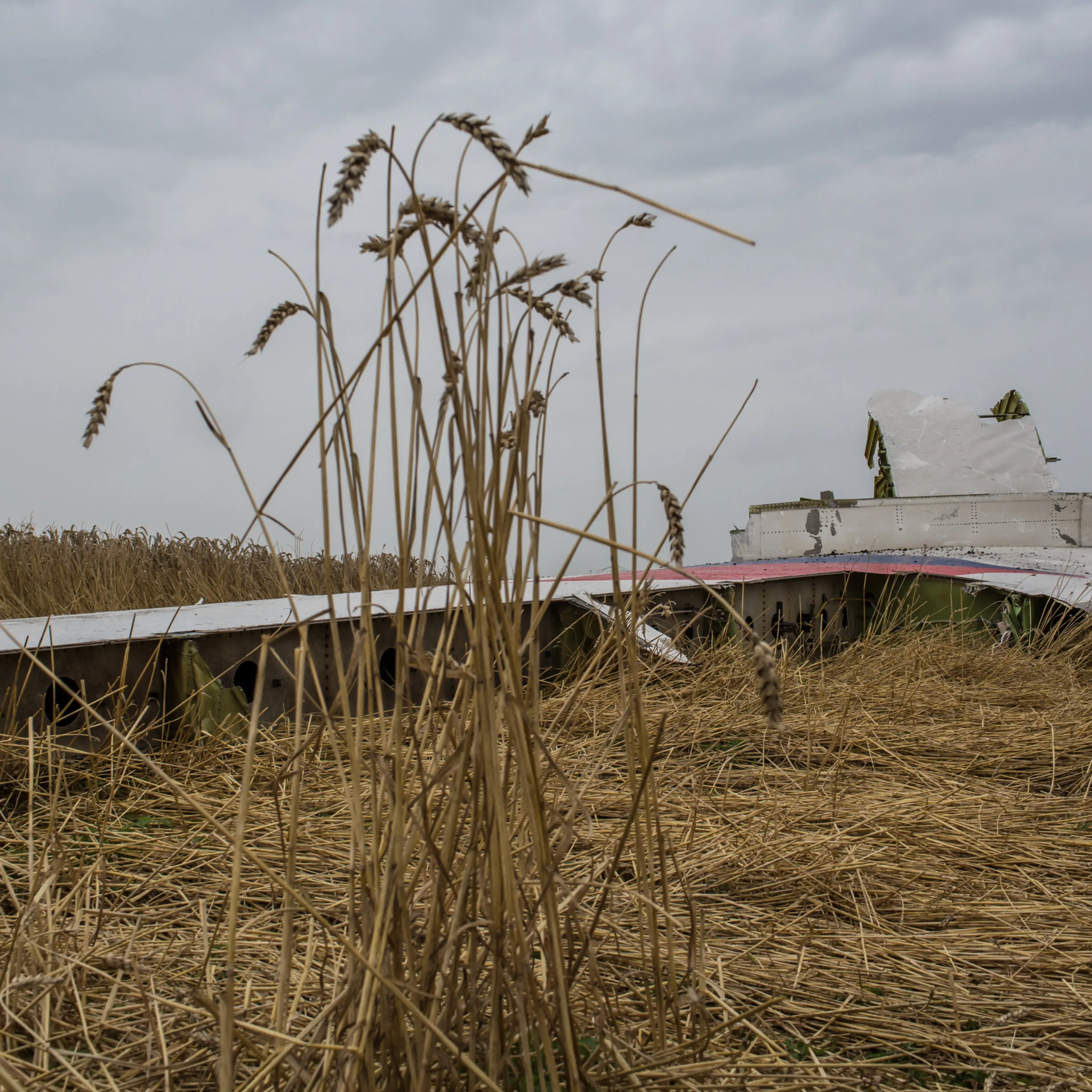 Air Malaysian Passenger Jet Crashes in Eastern Ukraine