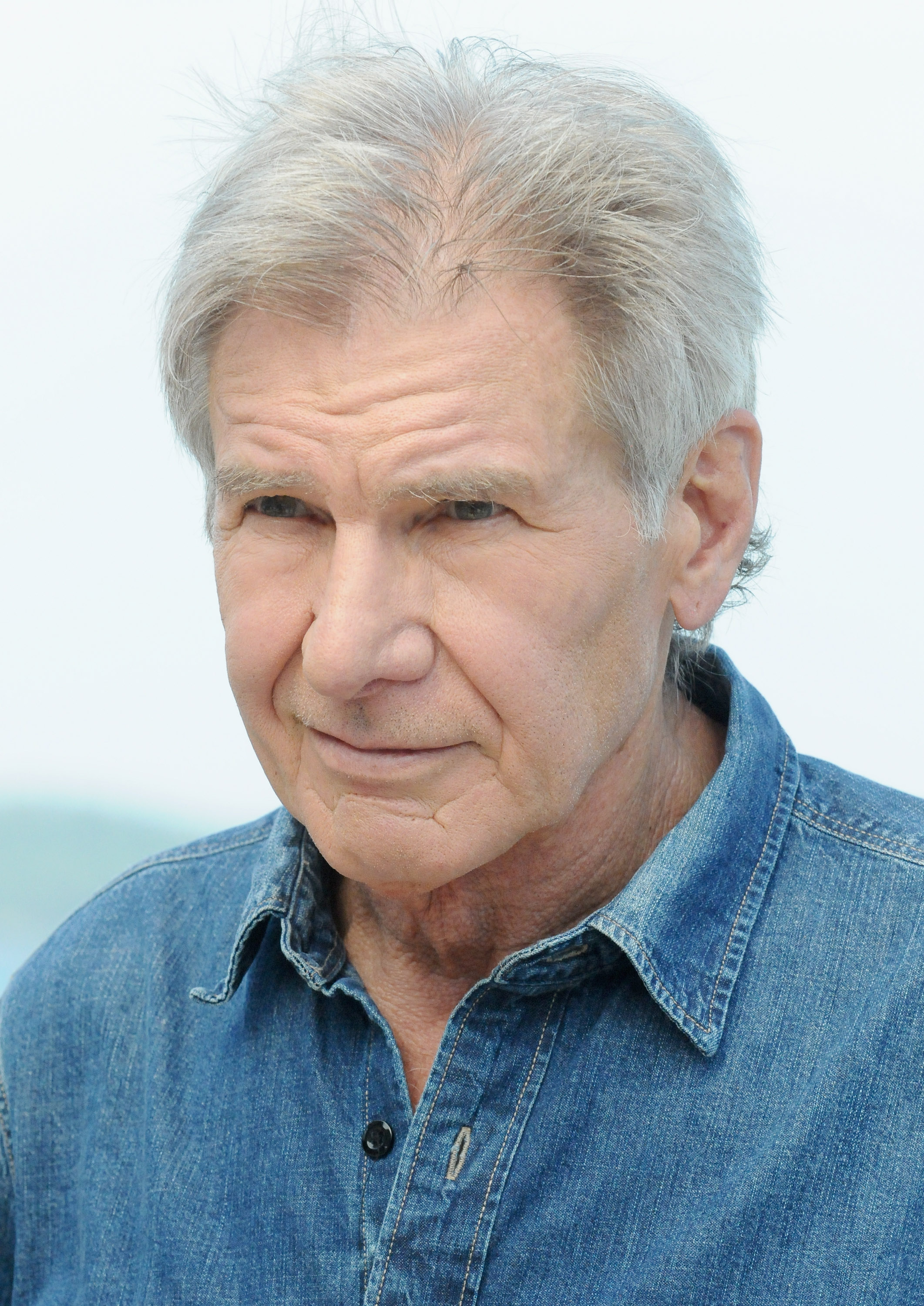 Harrison Ford poses for a portrait in Sydney on Dec. 9, 2015.
