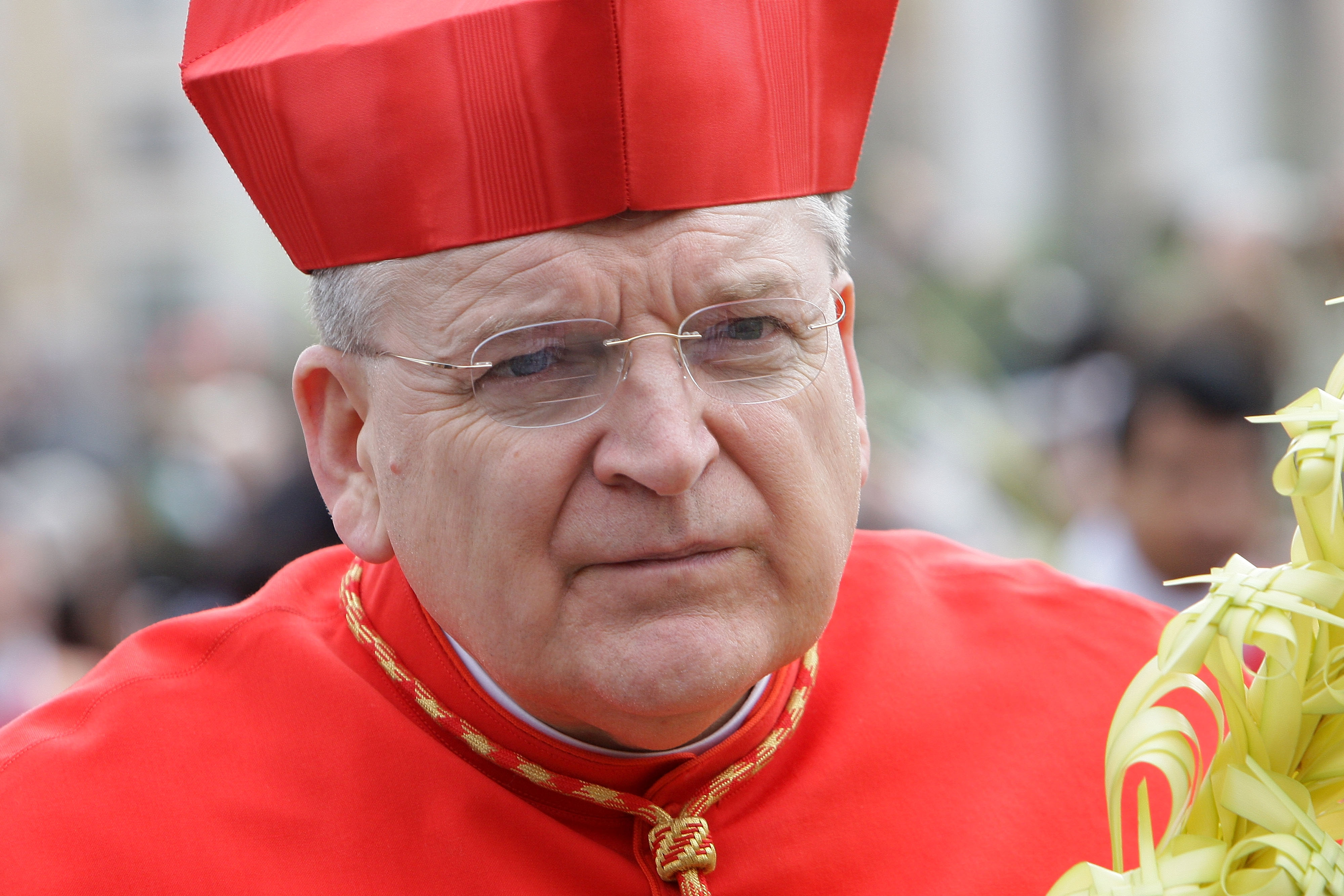 Raymond Burke Pope Francis