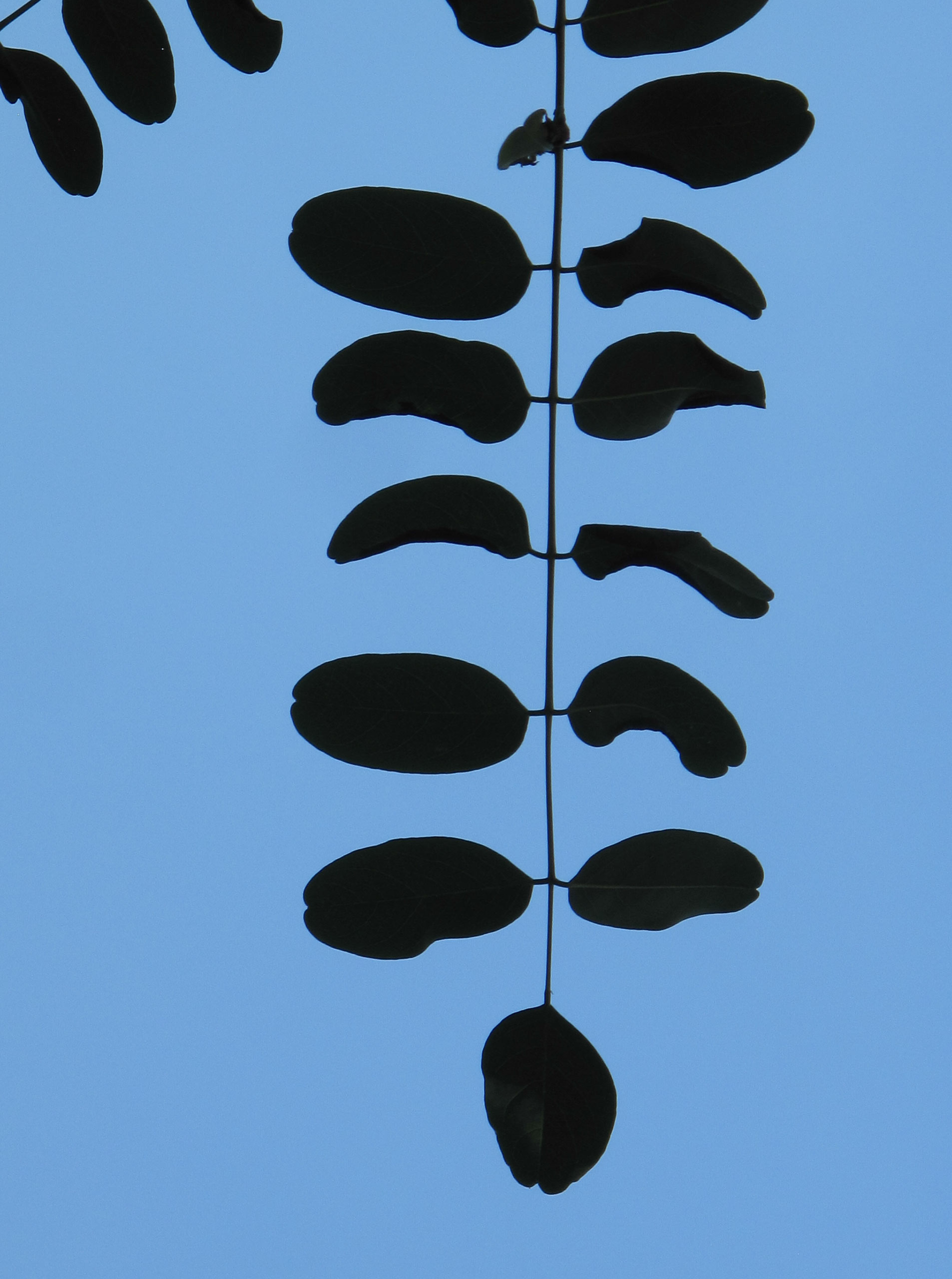 Blauw Bad, from the series "Rebus" 2013.