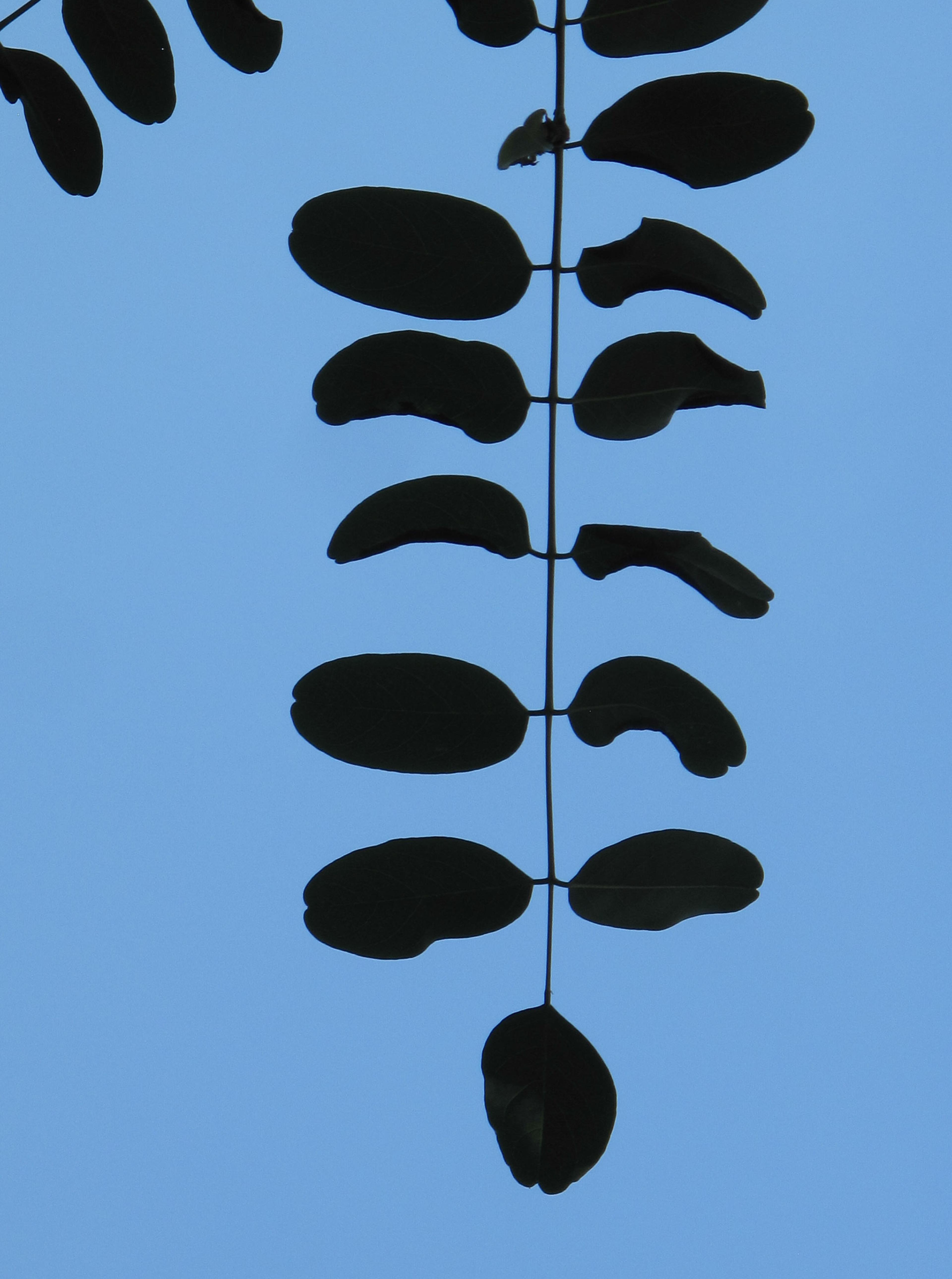 Blauw Bad, from the series "Rebus" 2013.