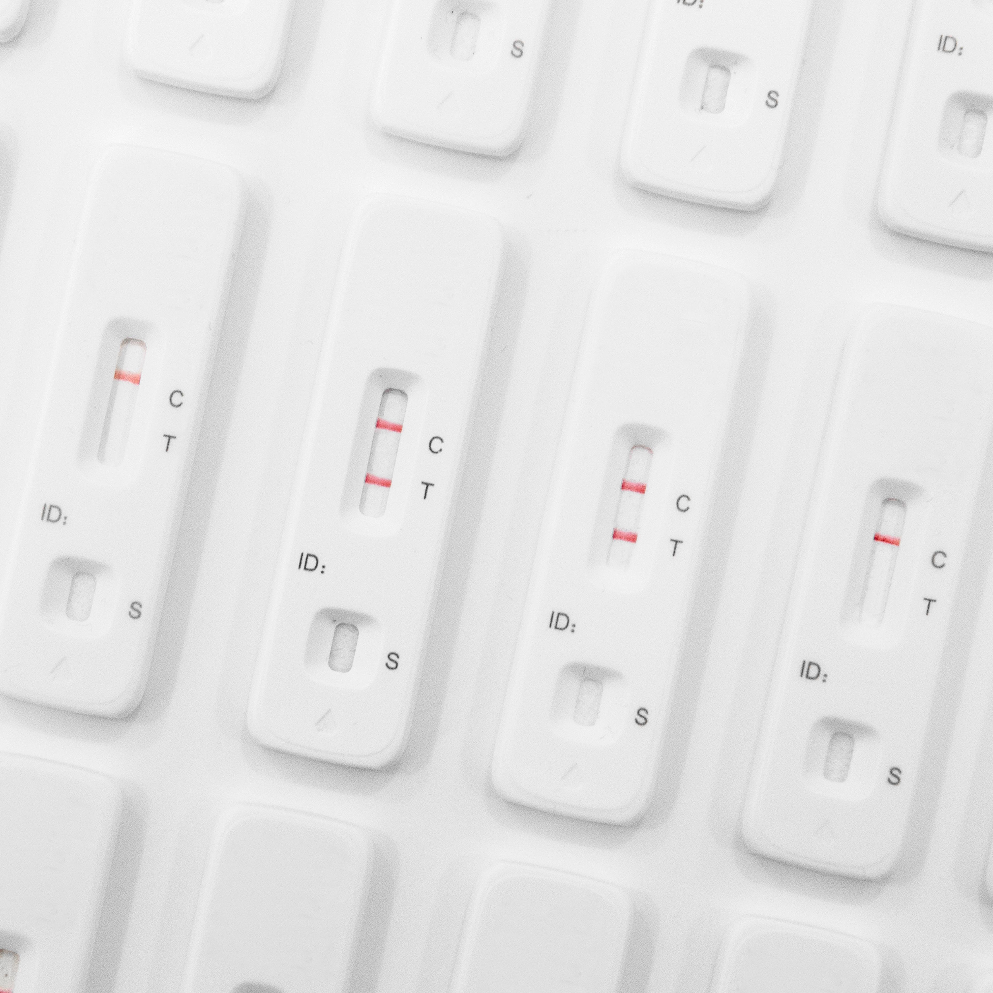 Abstract photo of rows of used Lateral Flow Tests - several showing positive results