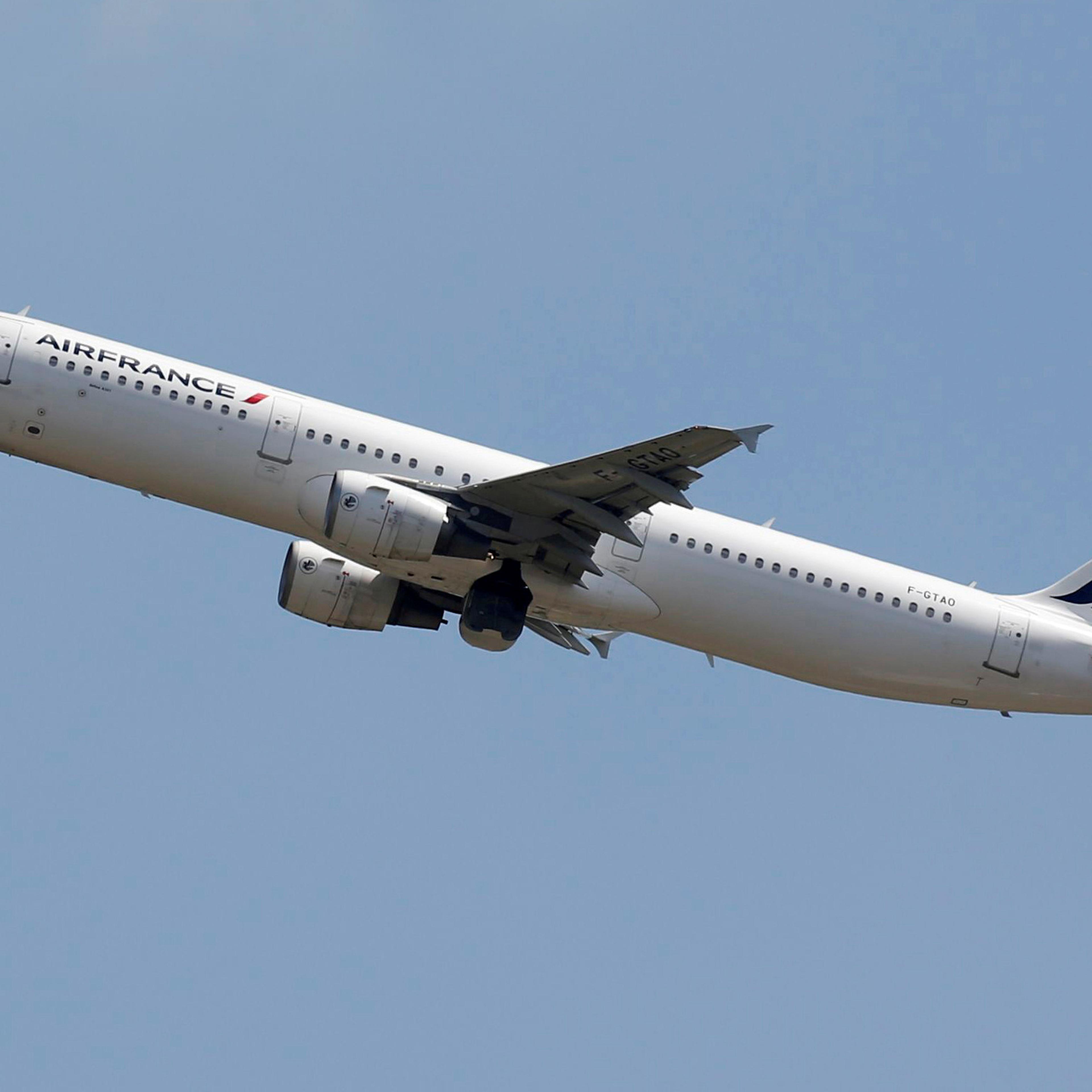FILE PHOTO: An Air France Airbus A321 aircraft takes off in Colomiers near Toulouse