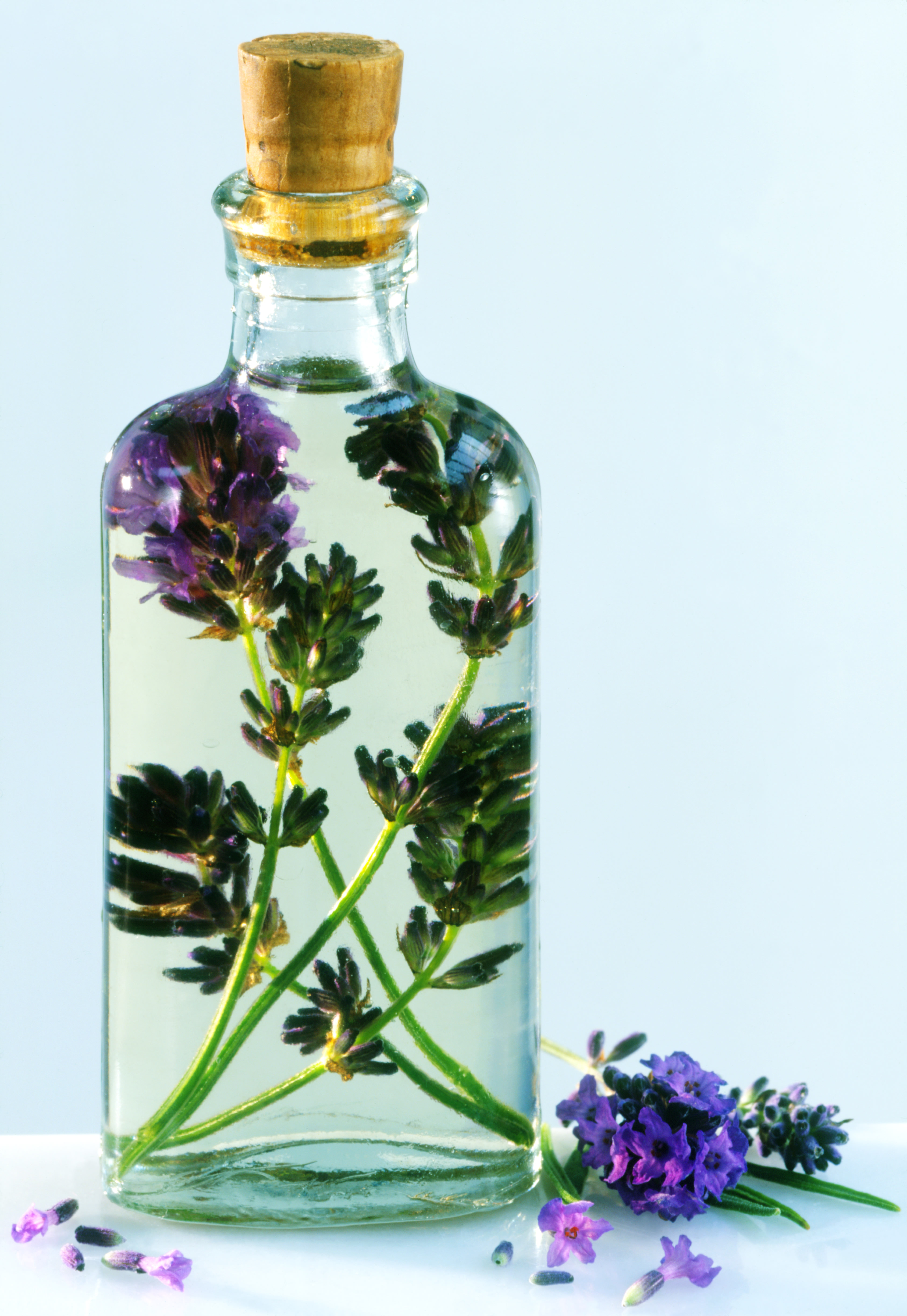 lavender essential oil