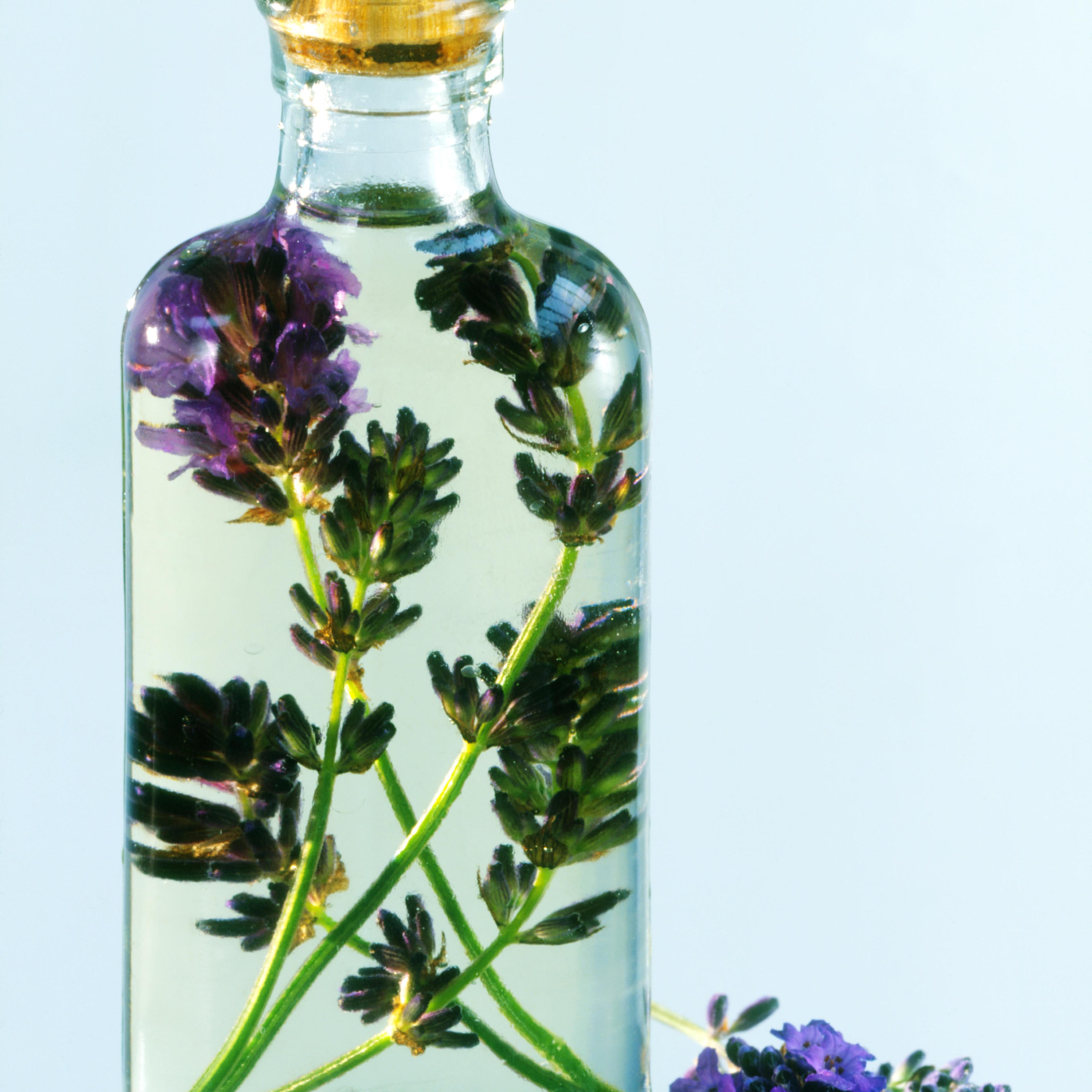 lavender essential oil