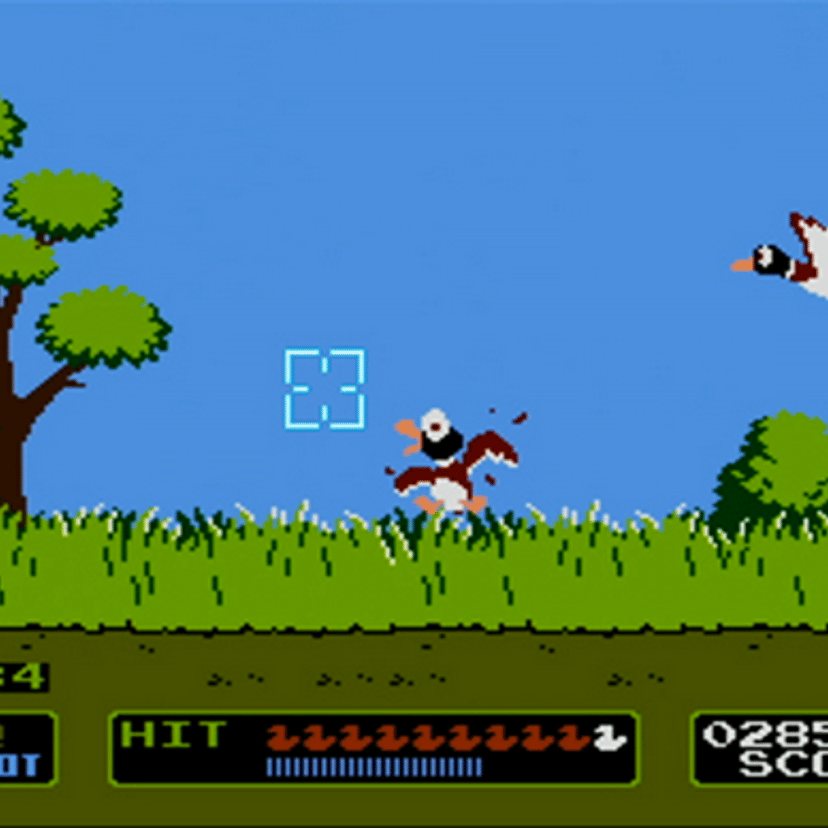 Duck Hunt