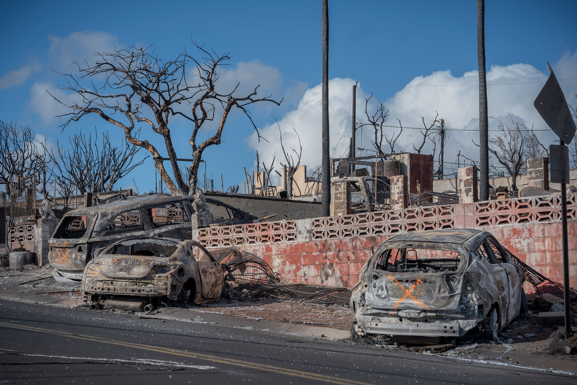 Scenes of devastation where deadly fires swept through Lahaina, on Aug. 14. 2023. Some of the burned vehicles show an “X” which was painted by search and rescue crews signifying the vehicle has been checked and does not contain human remains.