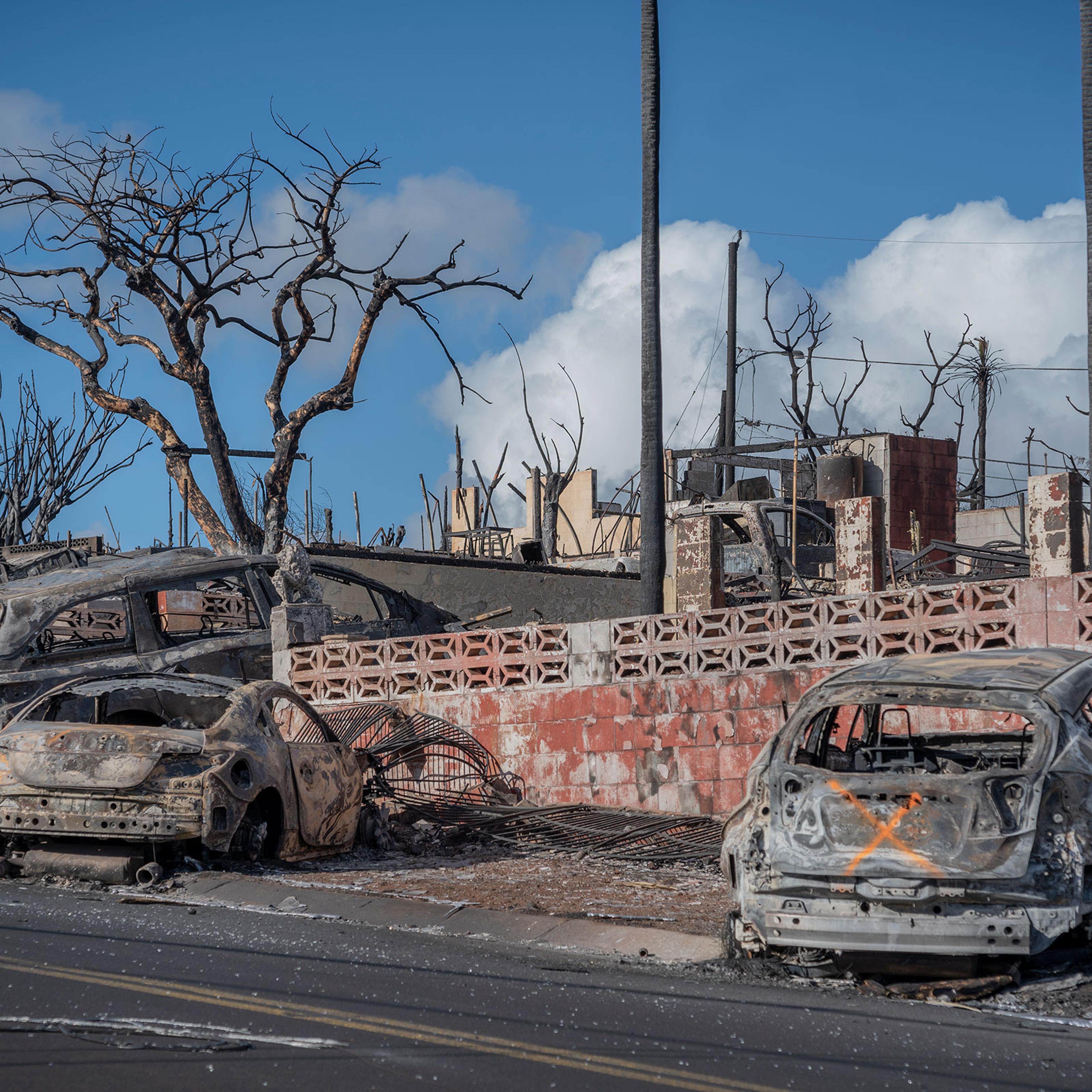 Scenes of devastation where deadly fires swept through Lahaina, on Aug. 14. 2023. Some of the burned vehicles show an “X” which was painted by search and rescue crews signifying the vehicle has been checked and does not contain human remains.