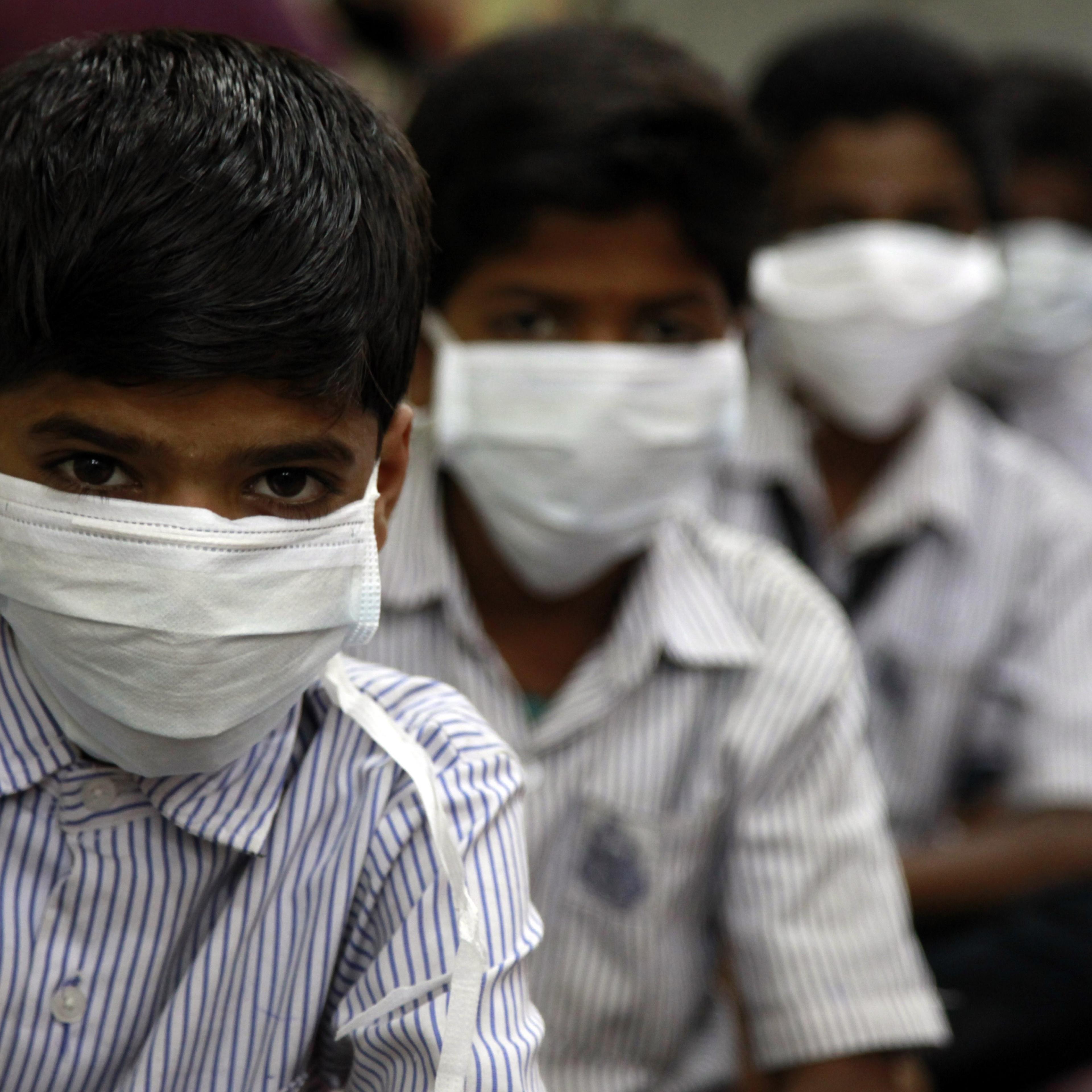 India struggles with swine flu outbreak