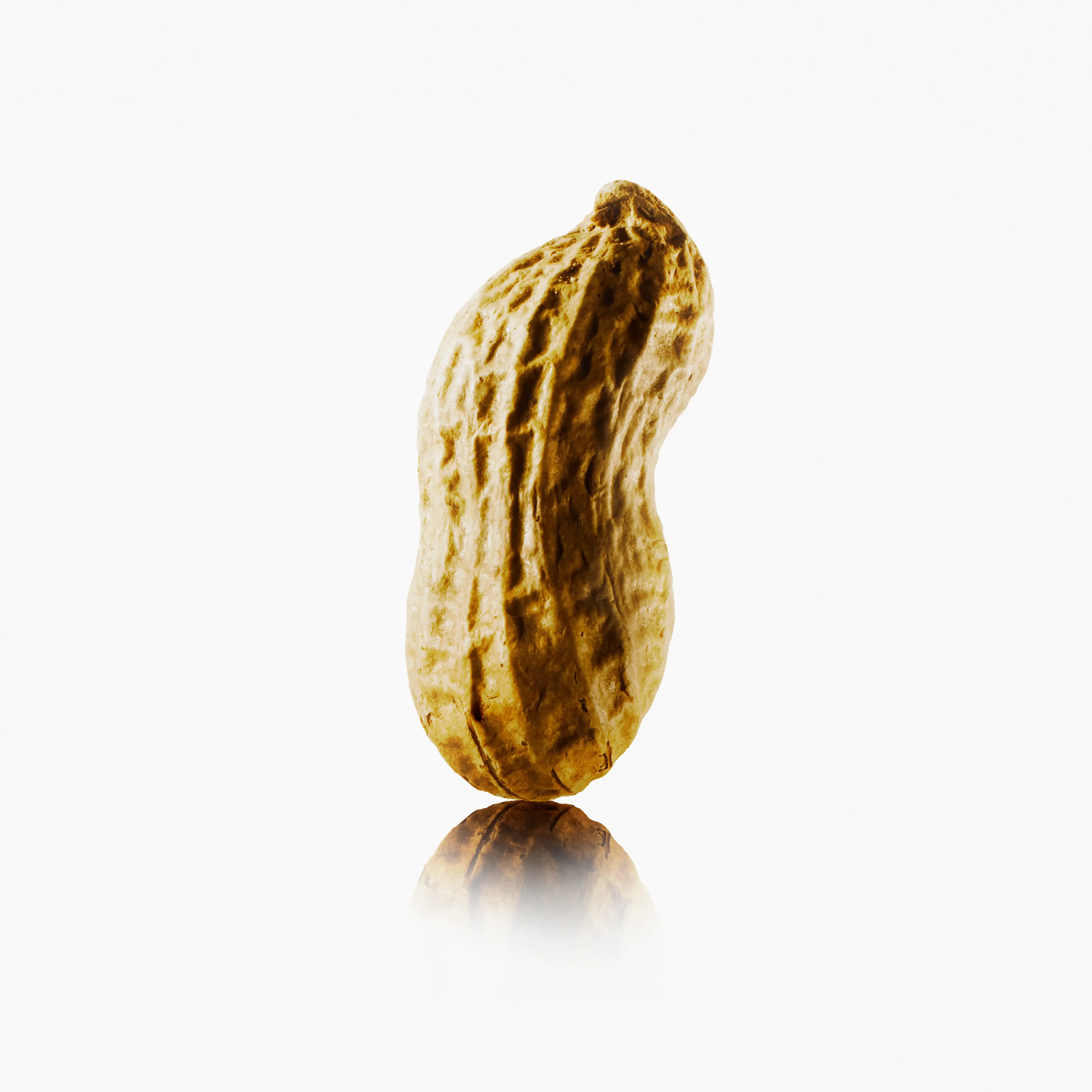 Peanut