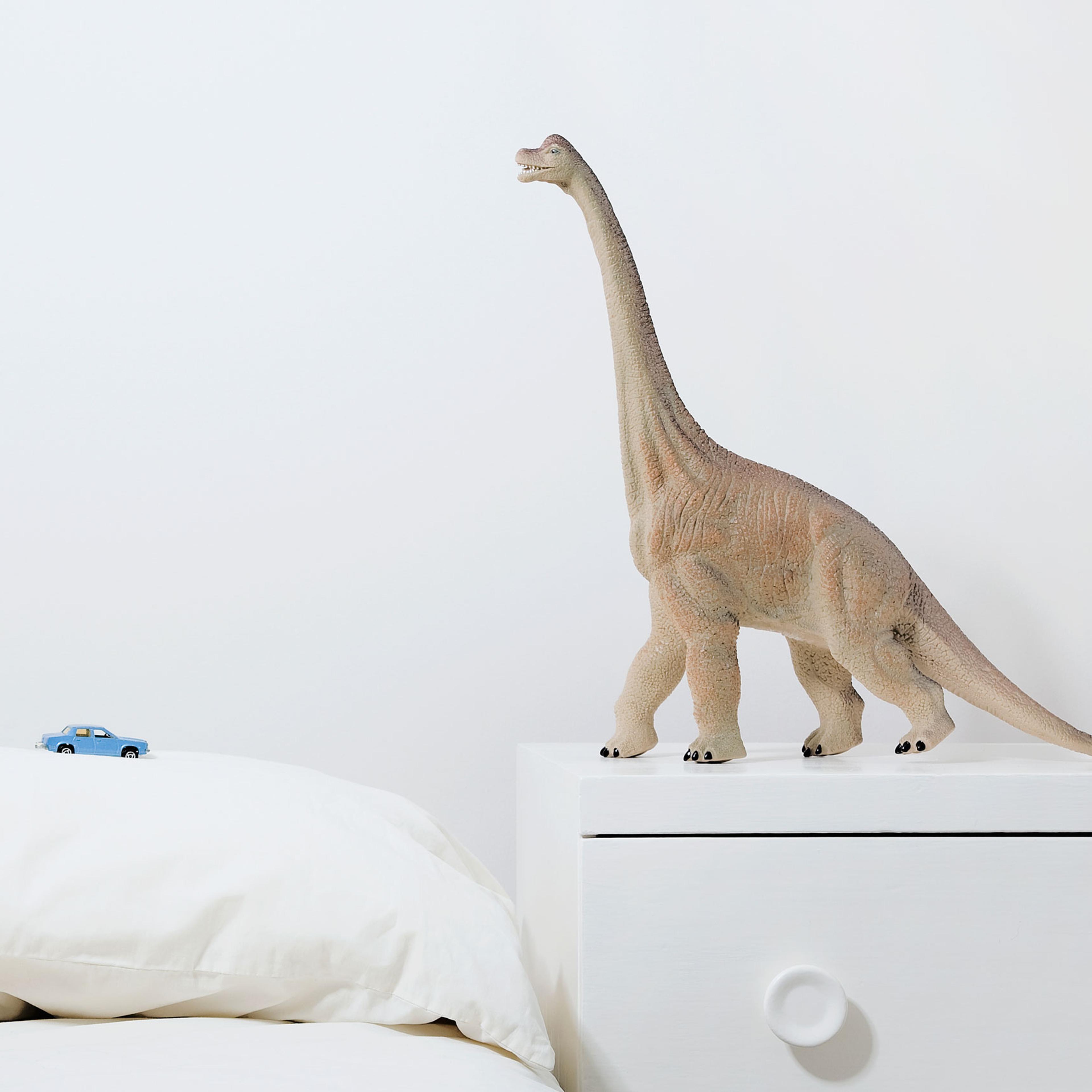 Toy dinosaur and toy car in bedroom