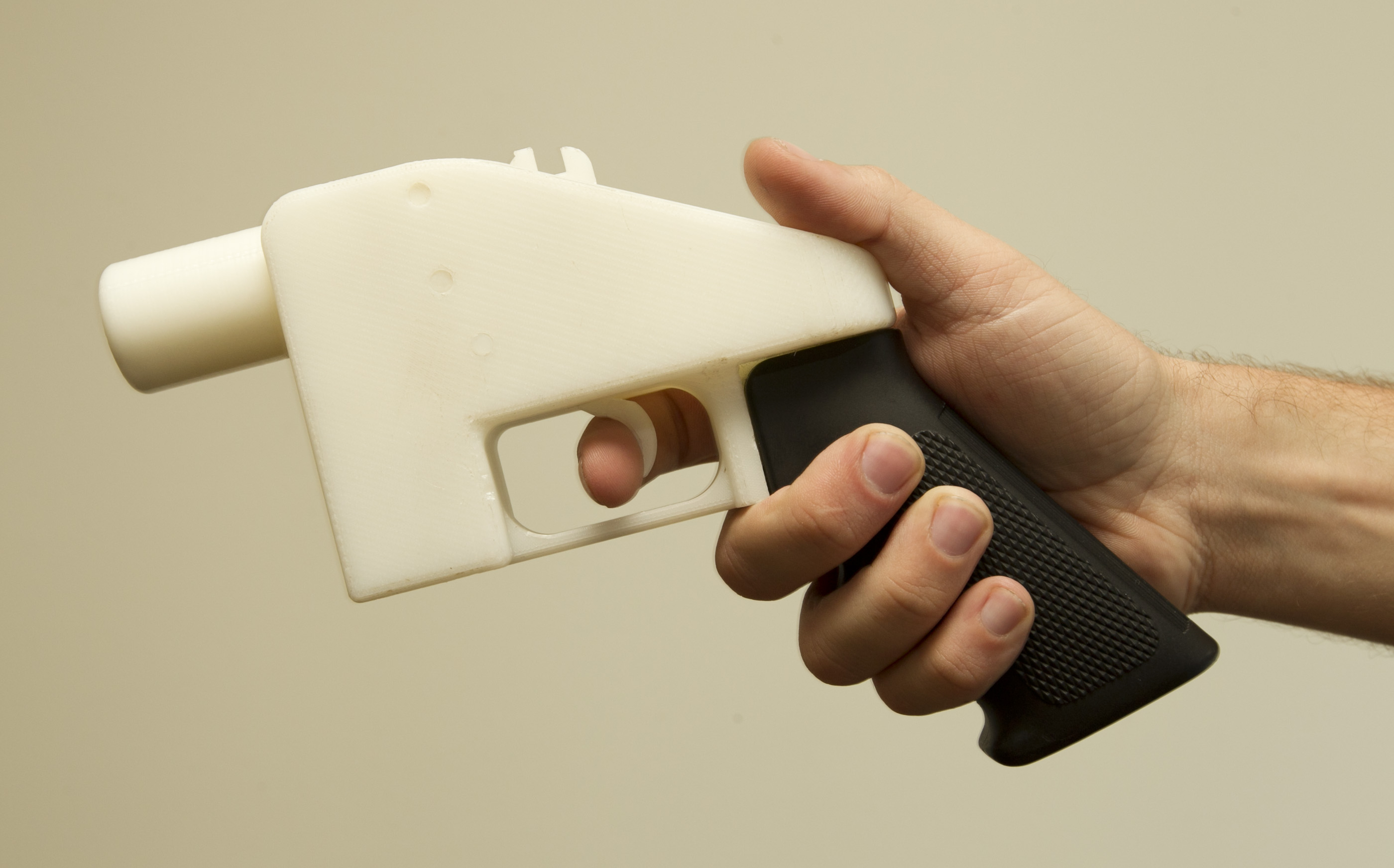Gun Print
