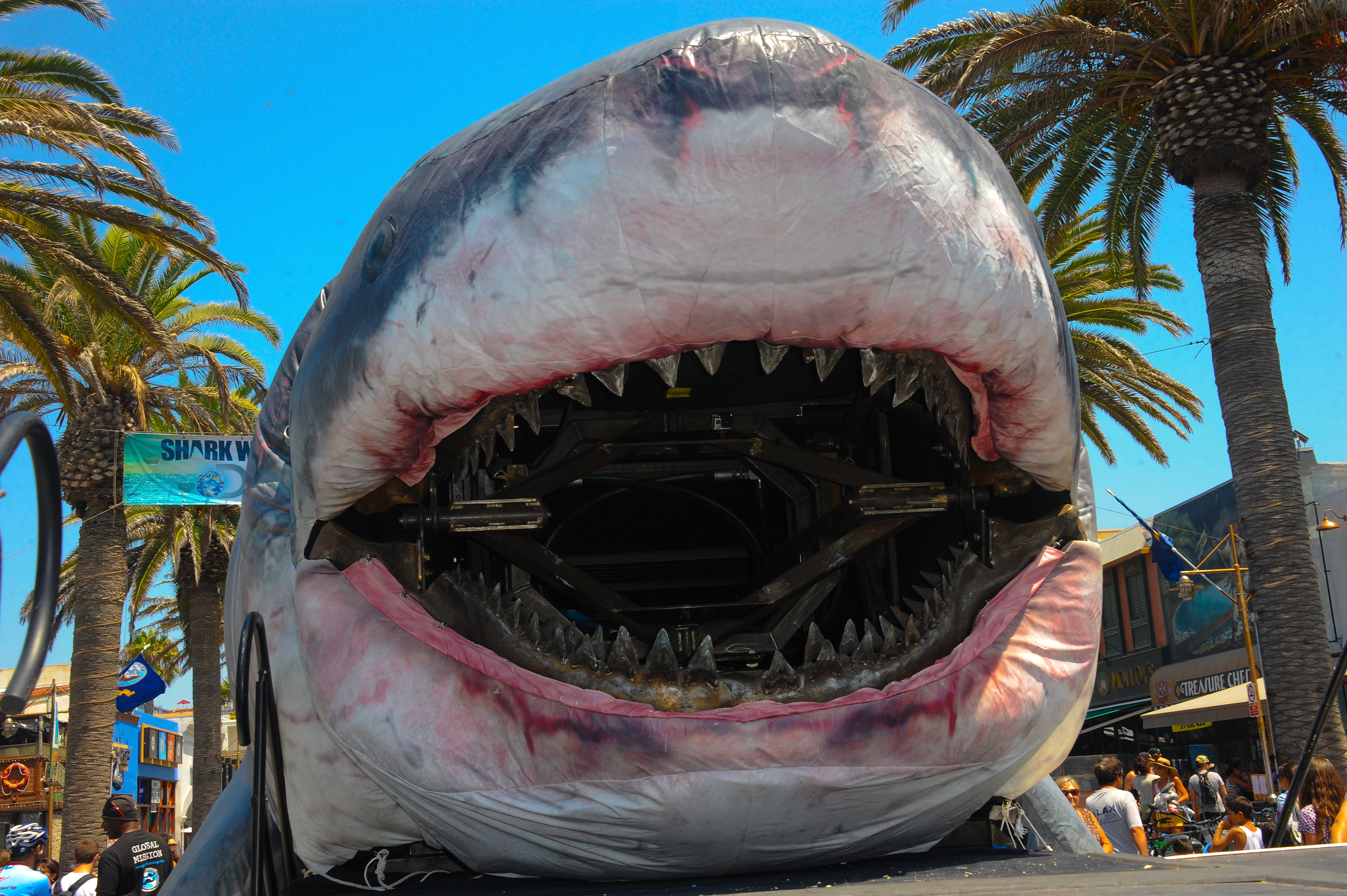 Discovery Channel Hosts 2014 Shark Week Kickoff Party - Day 2