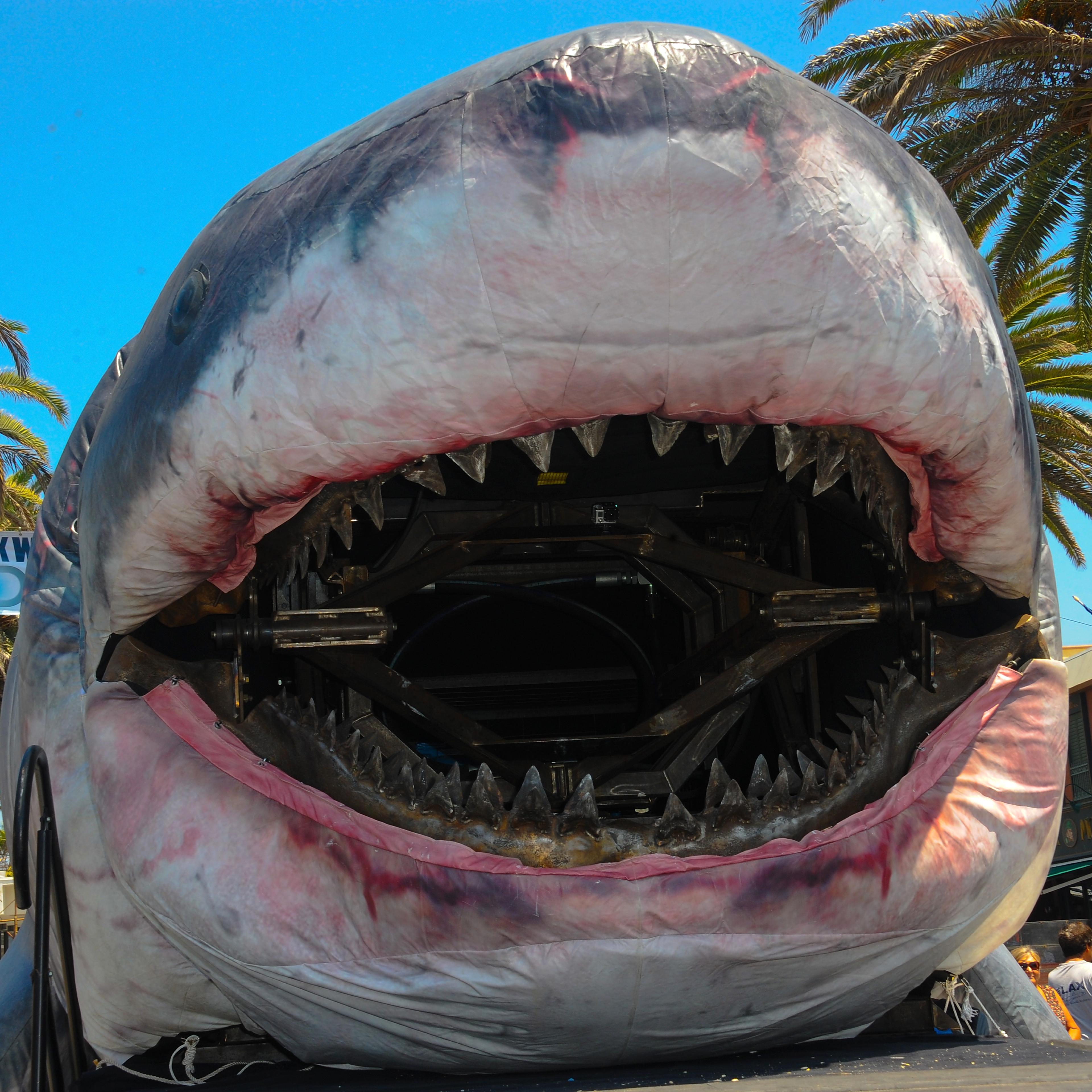 Discovery Channel Hosts 2014 Shark Week Kickoff Party - Day 2