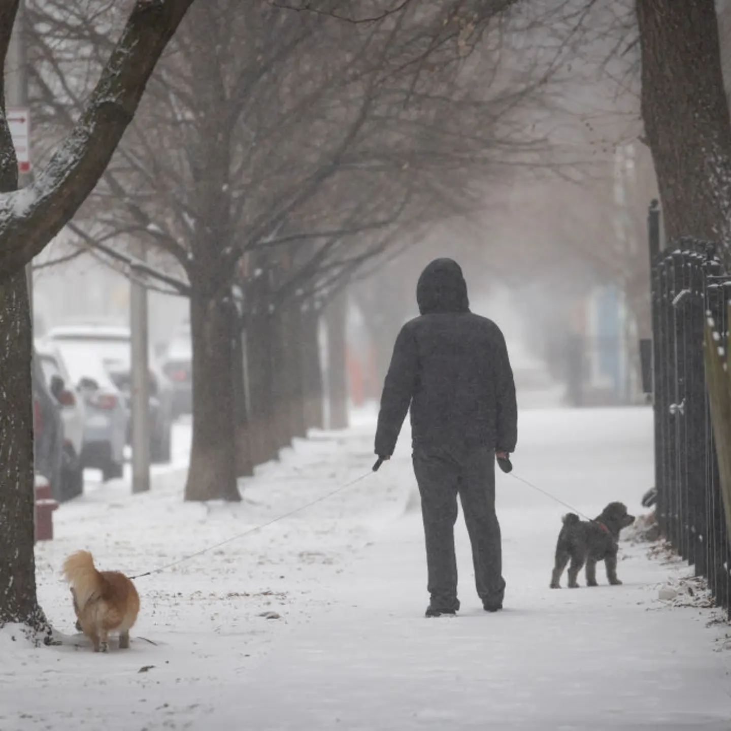 Multiple Storms Dump Snow From Midwest To East Coast This Week