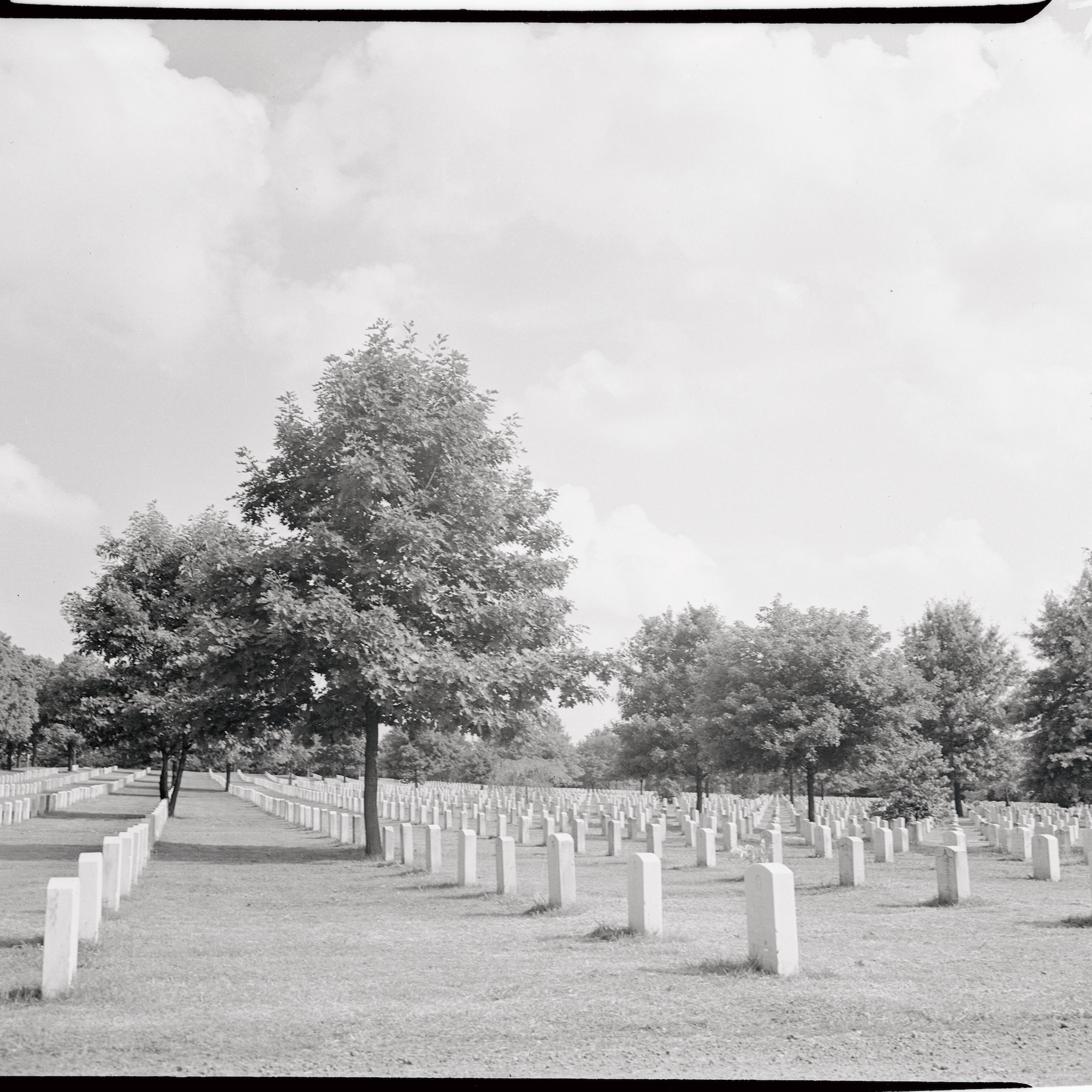 View of Arlington Cemetery