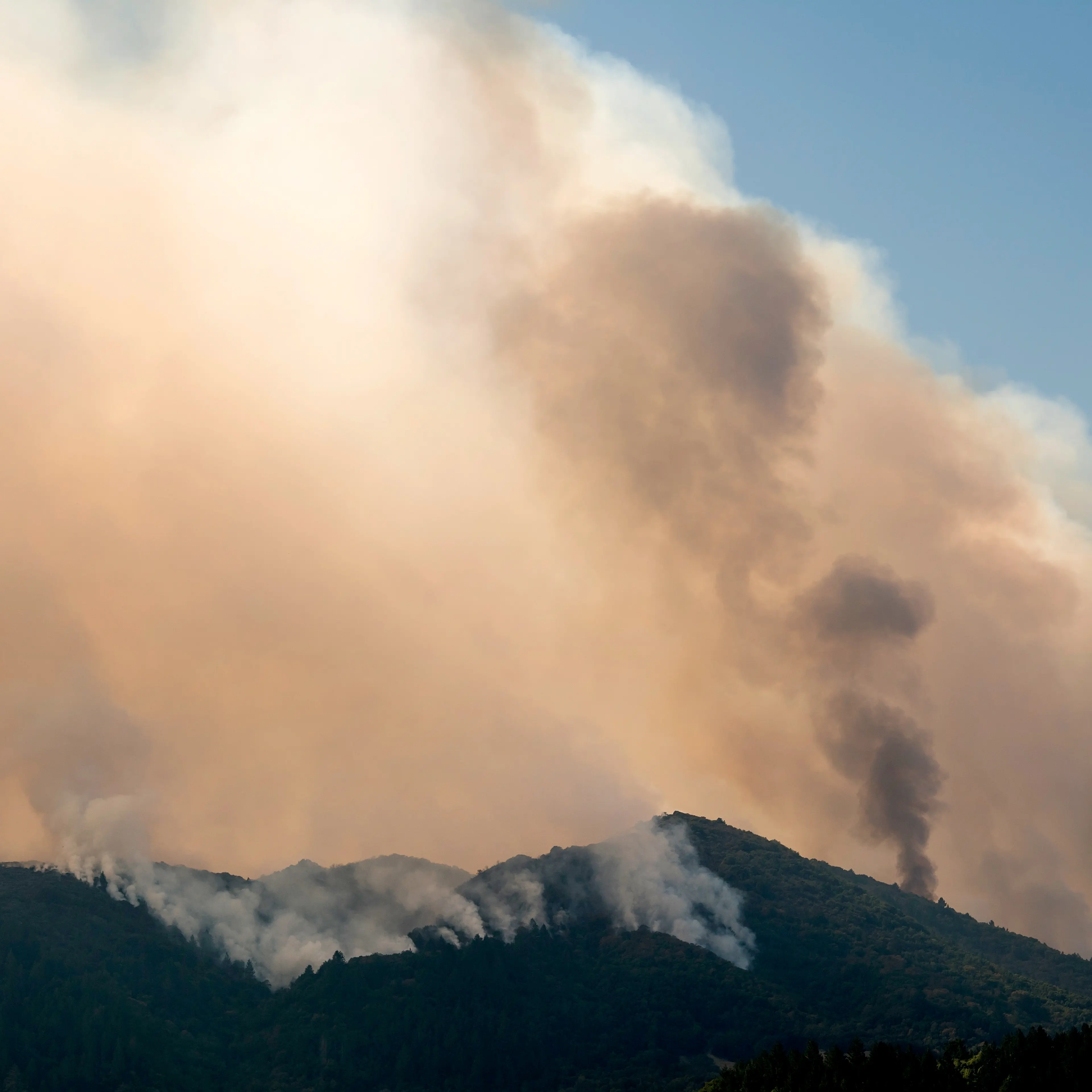 Wildfires Trample California's $58 Billion Wine Industry And Destroy 3,500 Homes