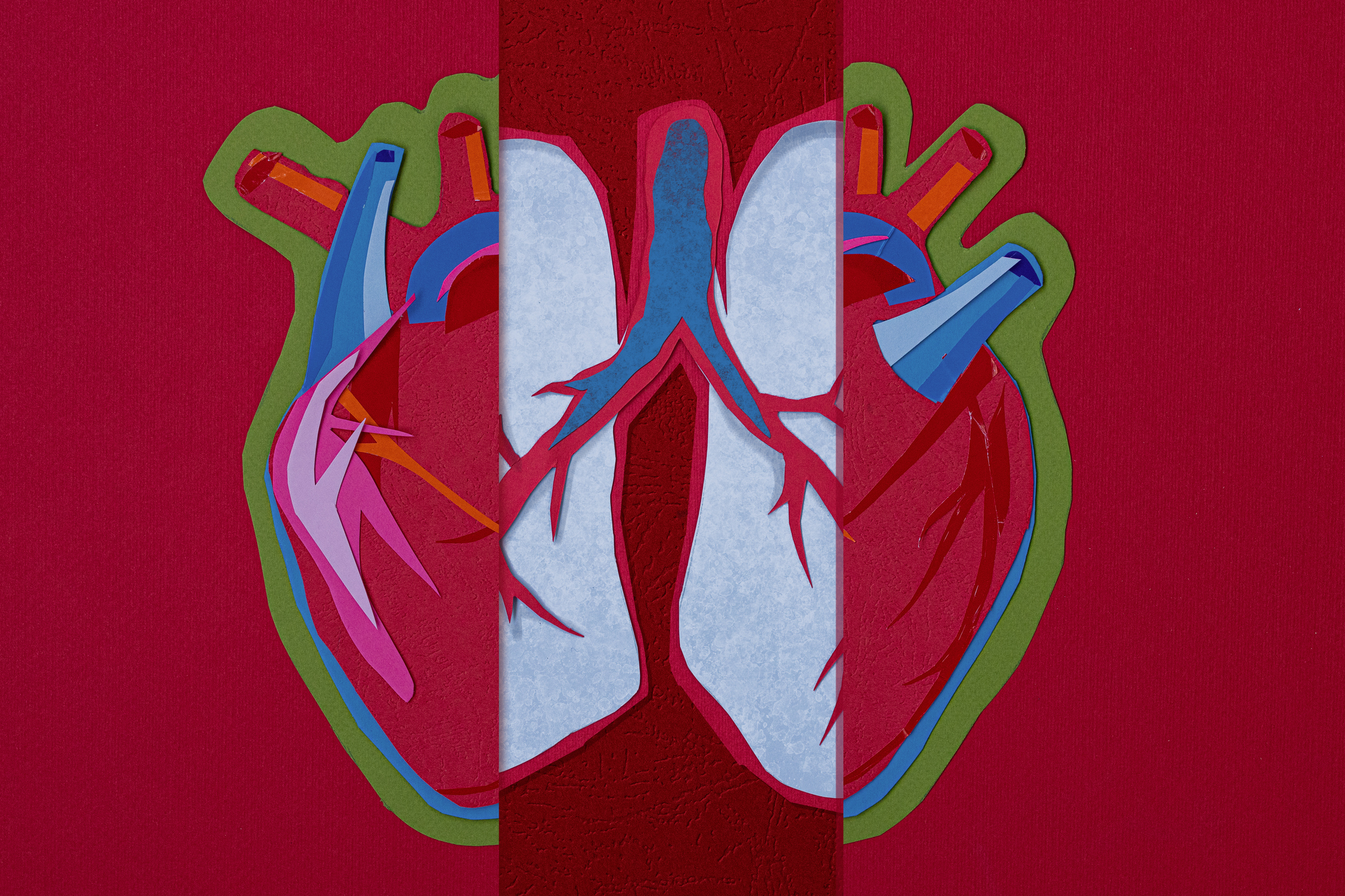 Normalcy Bias Prevented Me from Recognizing My Daughter’s Heart Failure