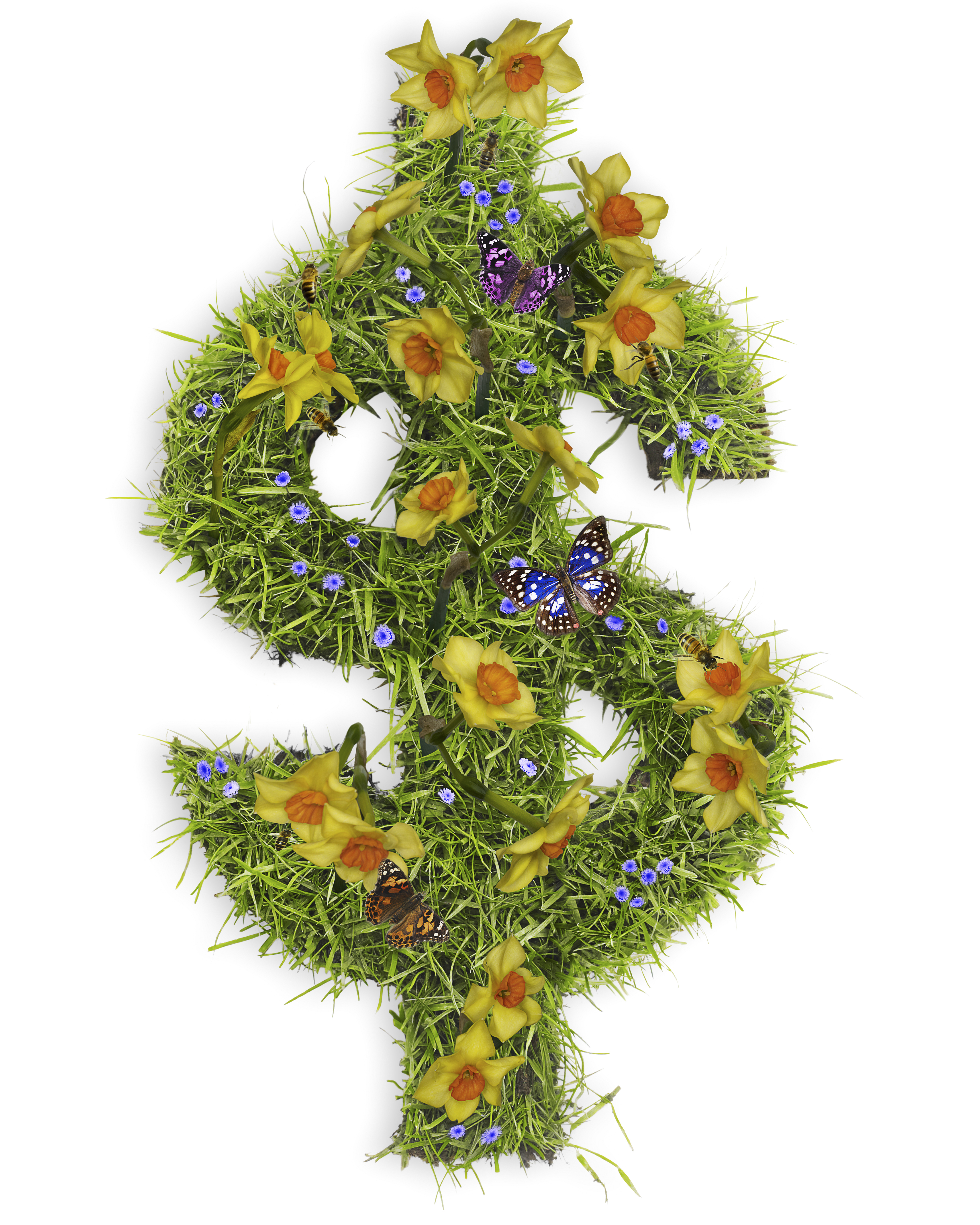 Dollar symbol with flowers and grass