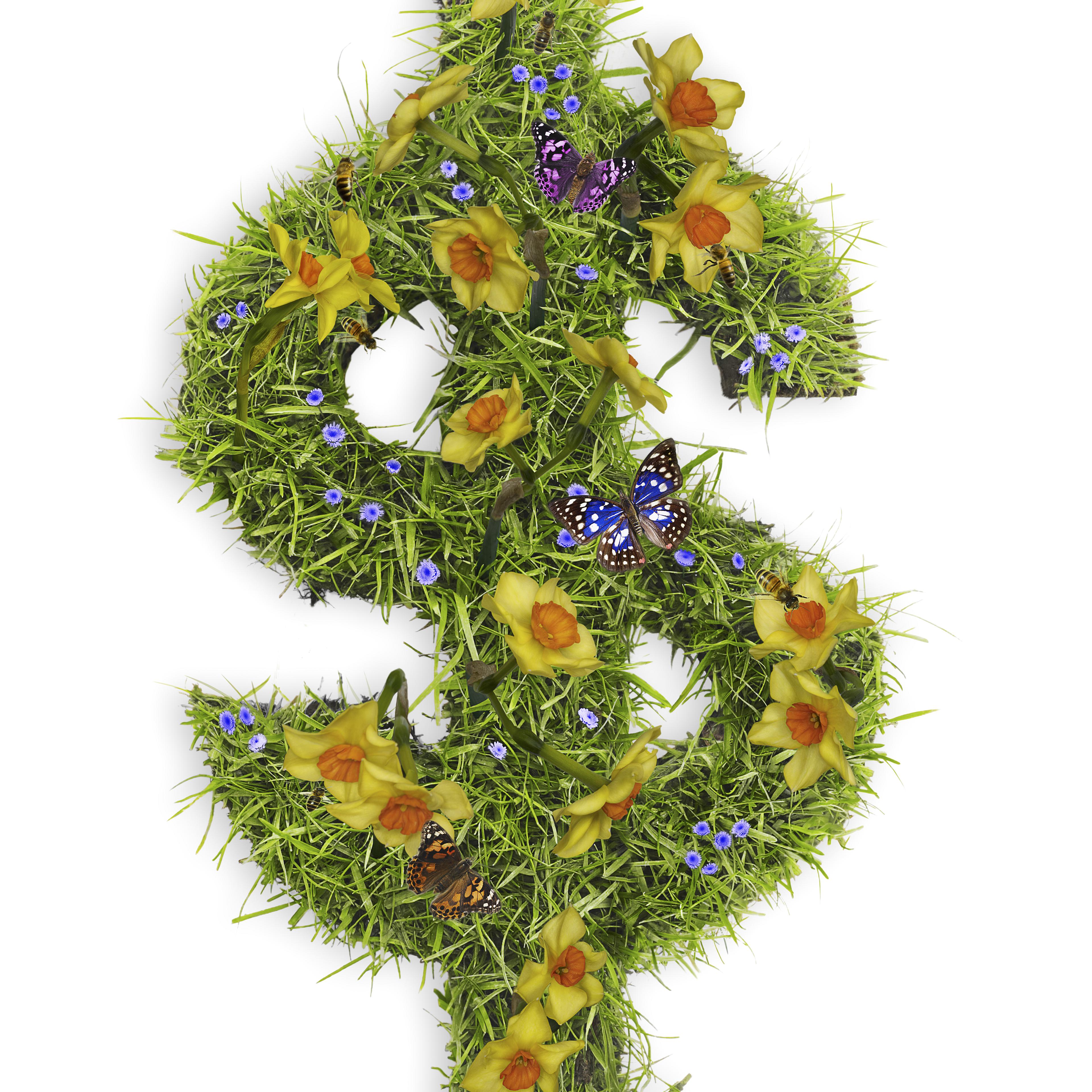 Dollar symbol with flowers and grass