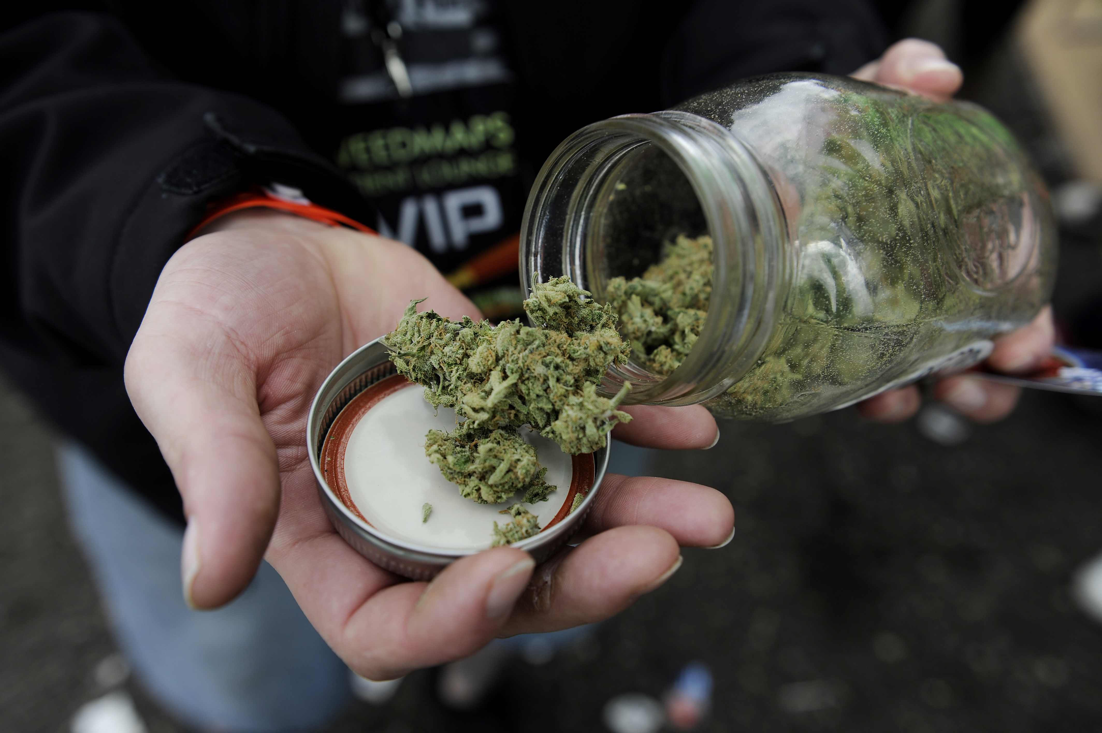 1st US High Times Cannabis Cup
