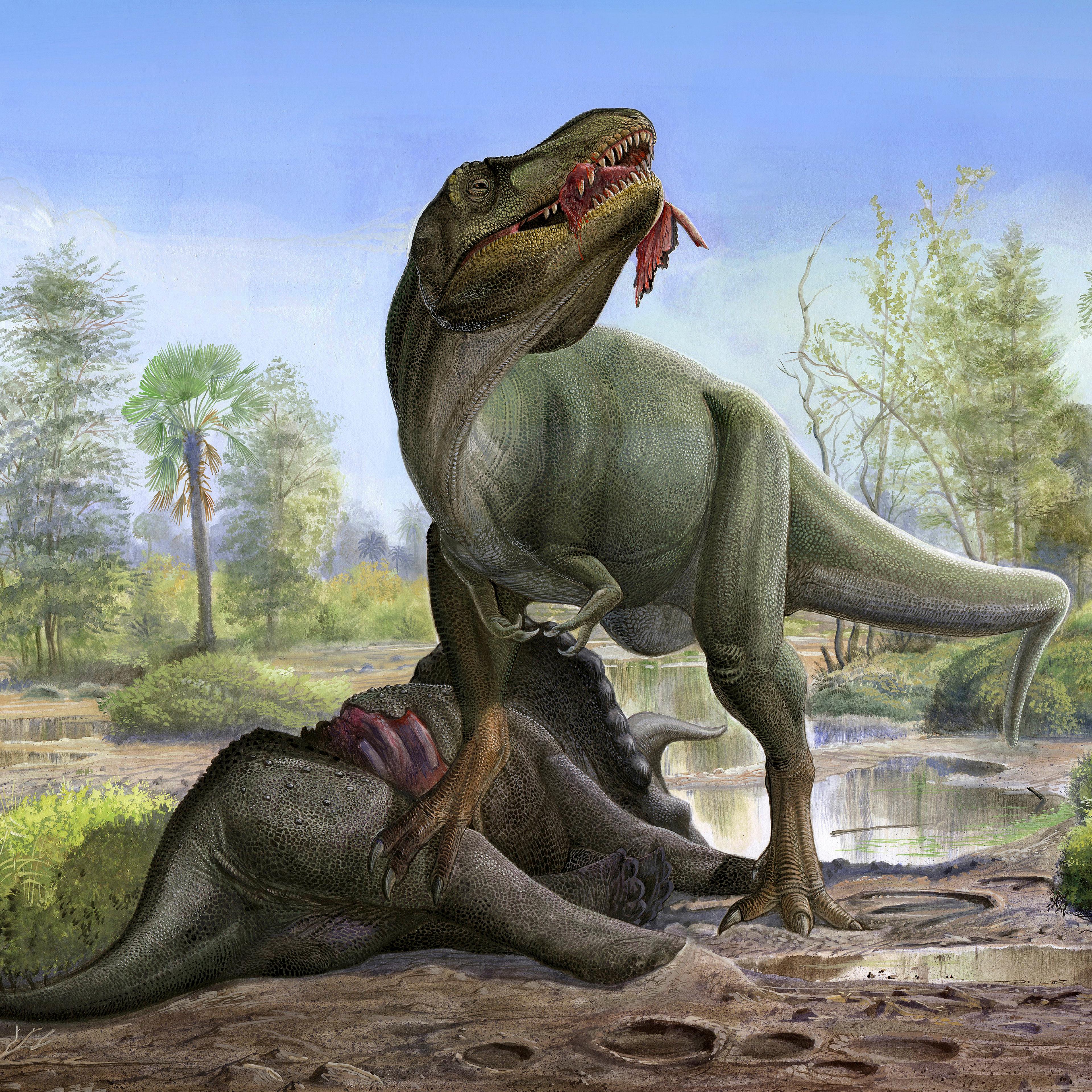 t rex eats triceratops