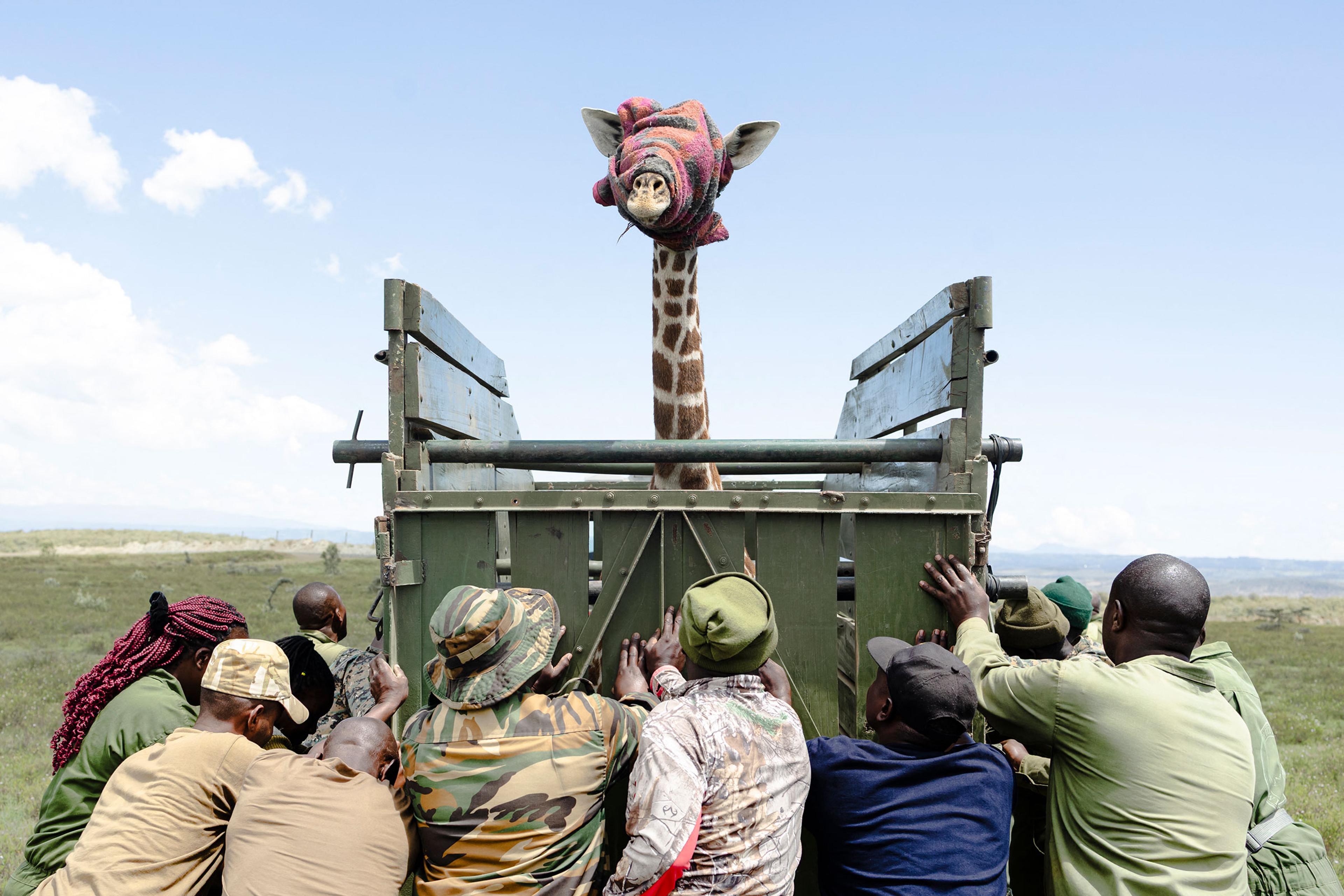 TOPSHOT-KENYA-CONSERVATION-ANIMAL