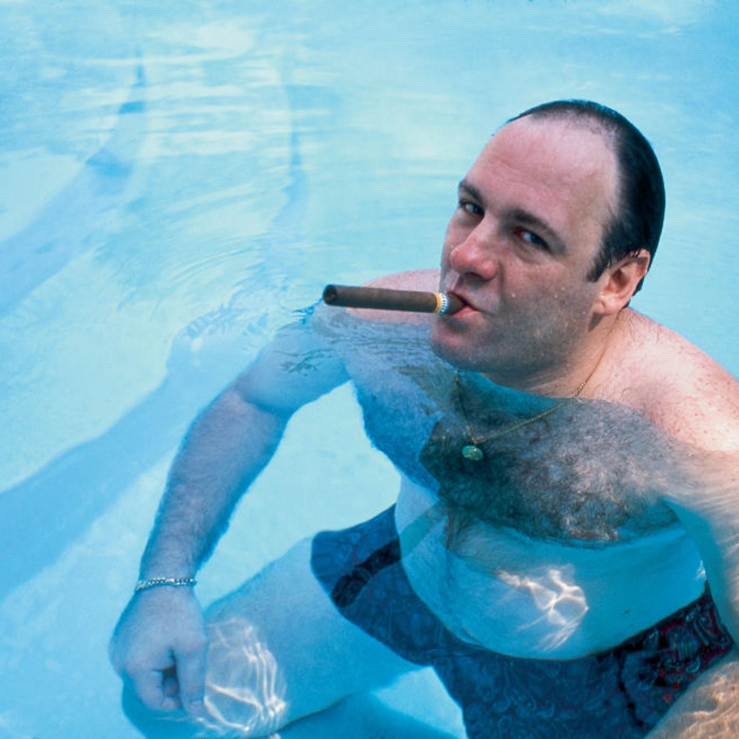 James-Gandolfini-tony-soprano