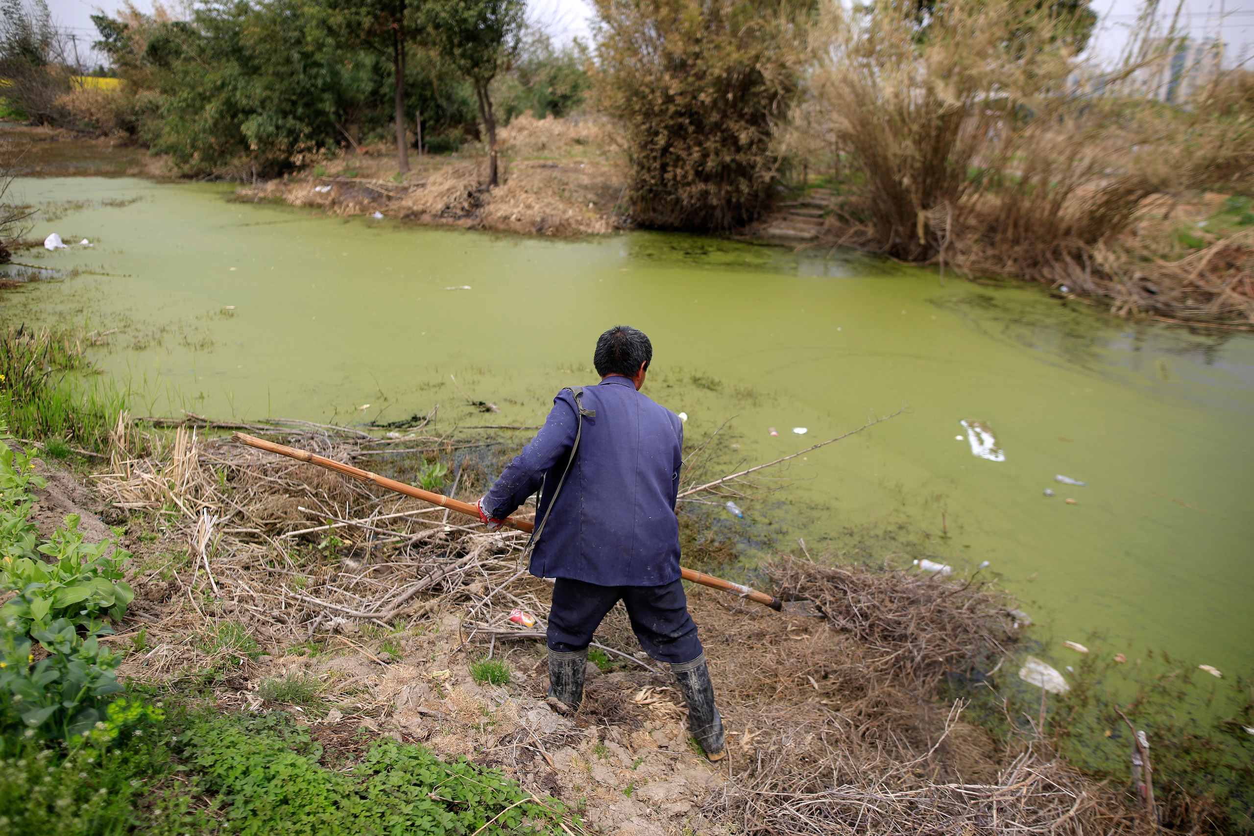 A farmer works on a polluted river in Shanghai, China, March 21, 2016. REUTERS/Aly Song - RTSBEWE