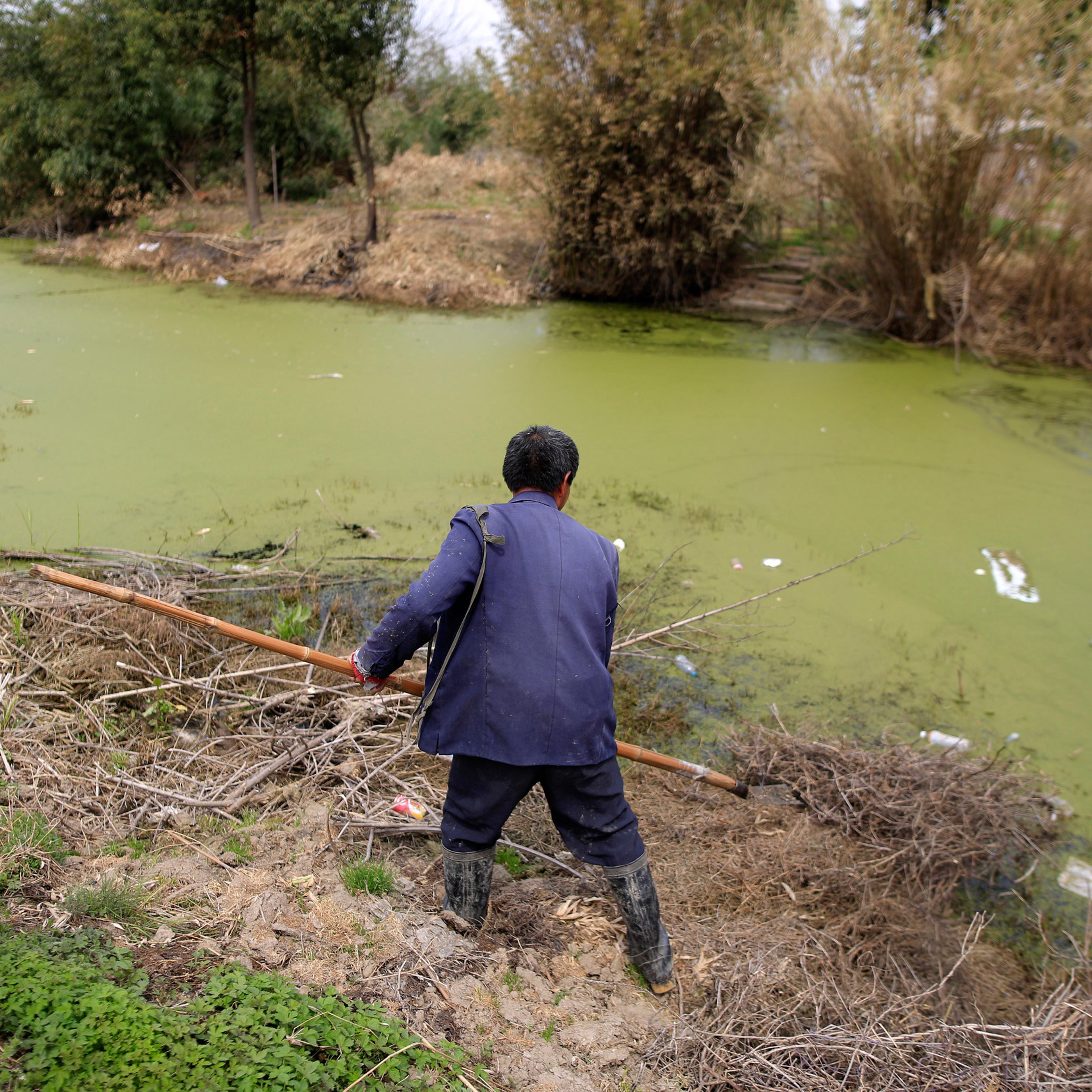 A farmer works on a polluted river in Shanghai, China, March 21, 2016. REUTERS/Aly Song - RTSBEWE