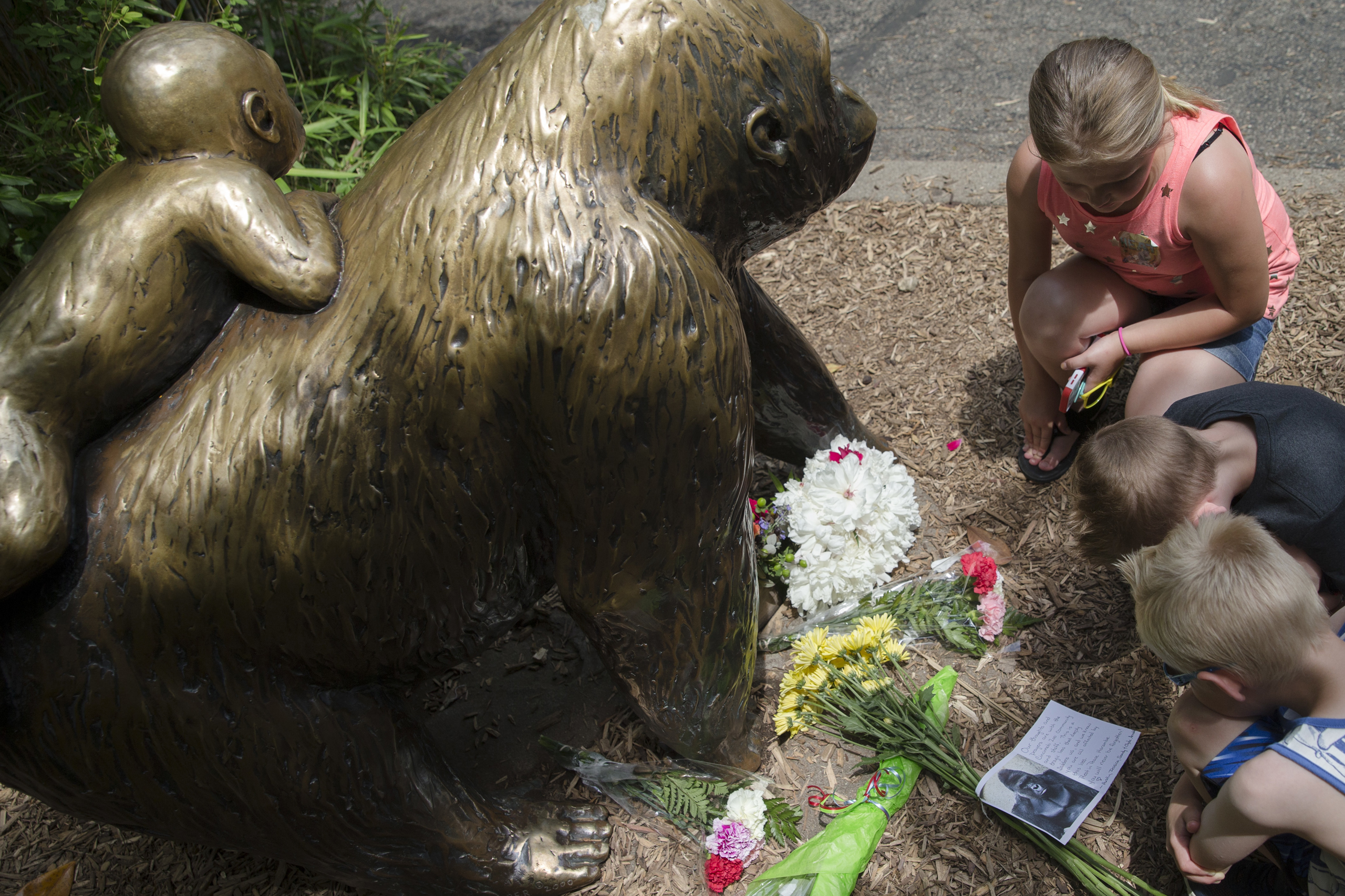 Children pause at the feet of a gorilla statue where flowers and a sympathy card have been placed, outside the Gorilla World exhibit at the Cincinnati Zoo & Botanical Garden, Sunday, May 29, 2016, in Cincinnati. On Saturday, a special zoo response team s