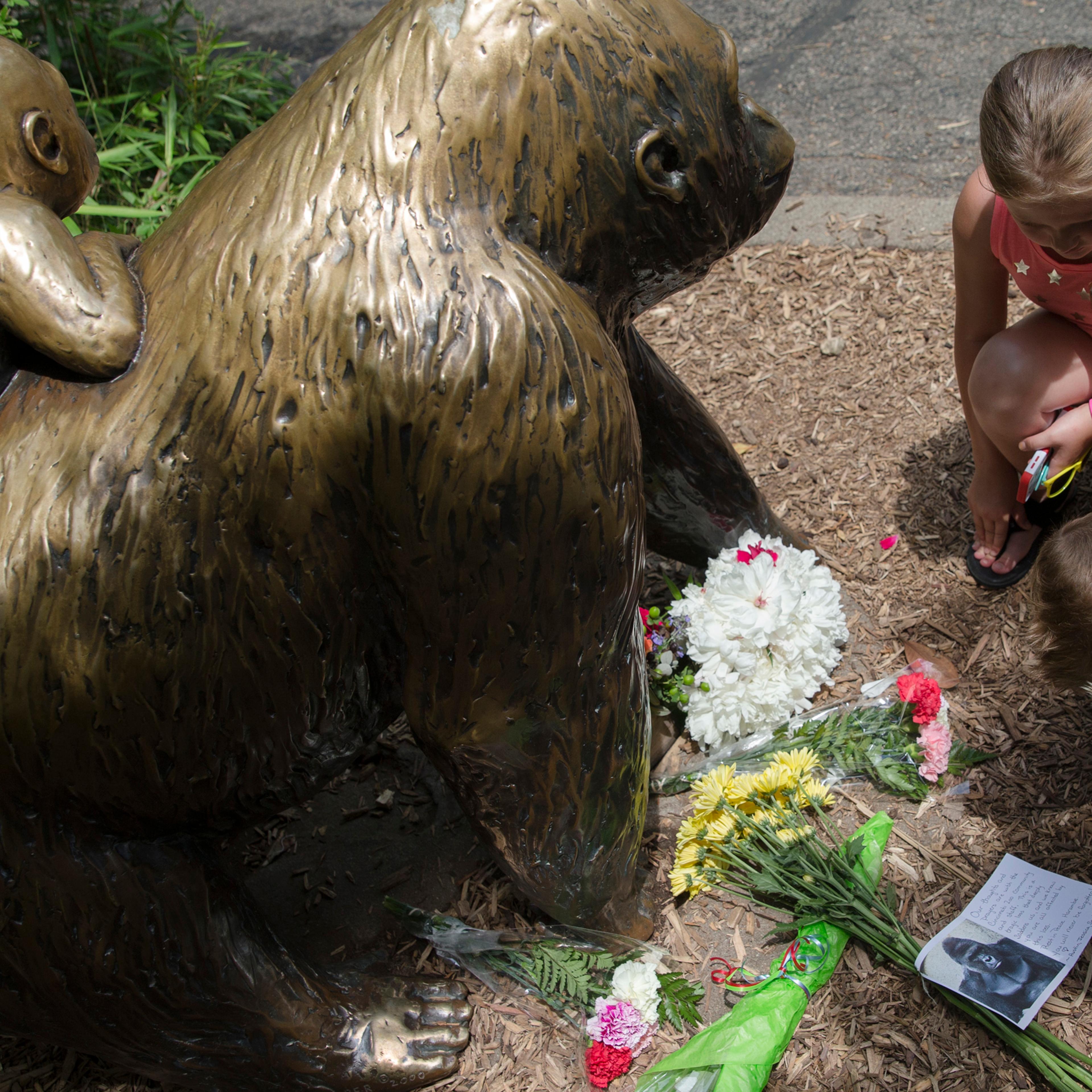 Children pause at the feet of a gorilla statue where flowers and a sympathy card have been placed, outside the Gorilla World exhibit at the Cincinnati Zoo & Botanical Garden, Sunday, May 29, 2016, in Cincinnati. On Saturday, a special zoo response team s
