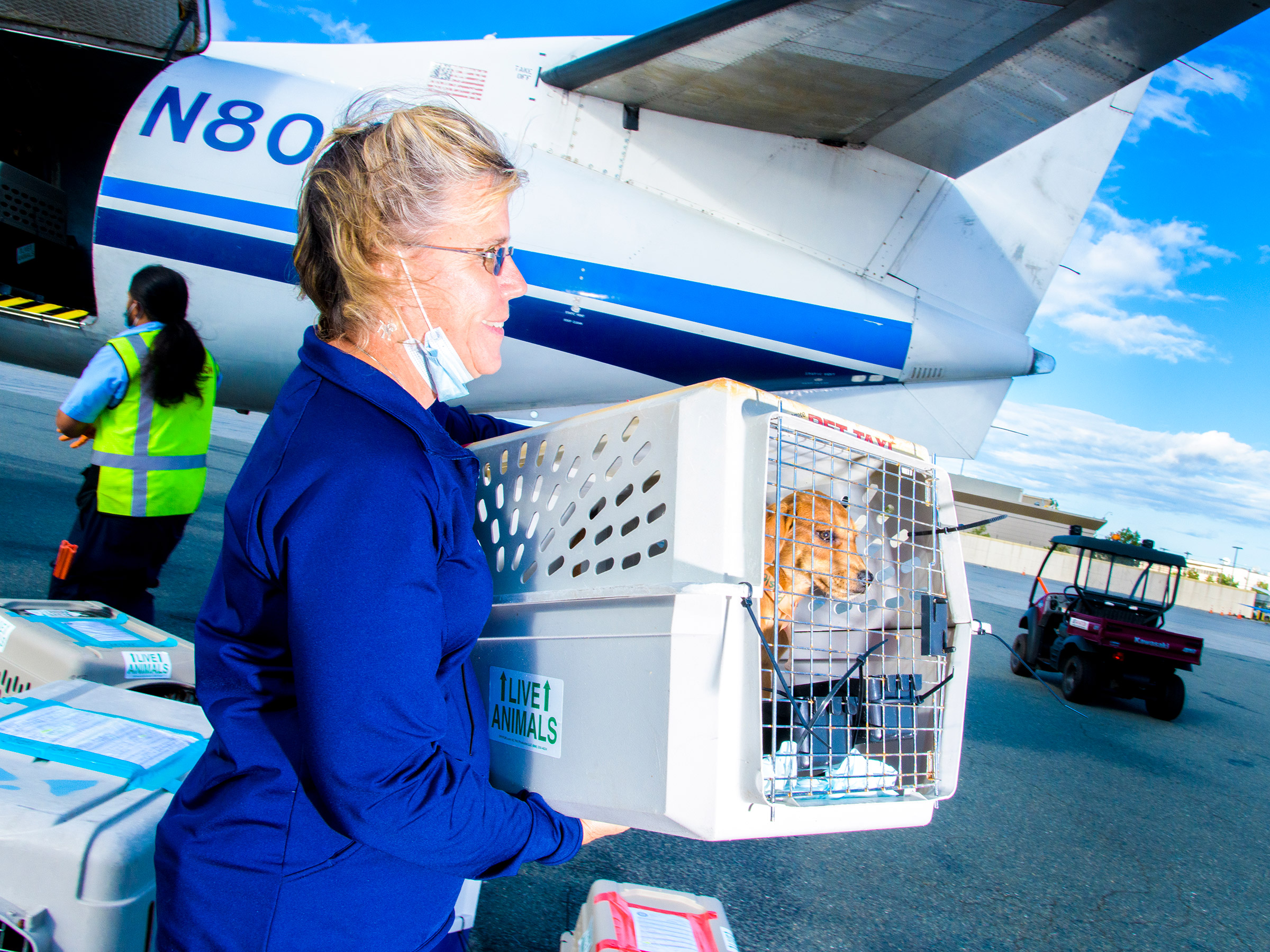 Sheryl Blancato of Second Chance Animal Services carries 2 month-old Presley, who just flew from Mississippi to Massachusetts