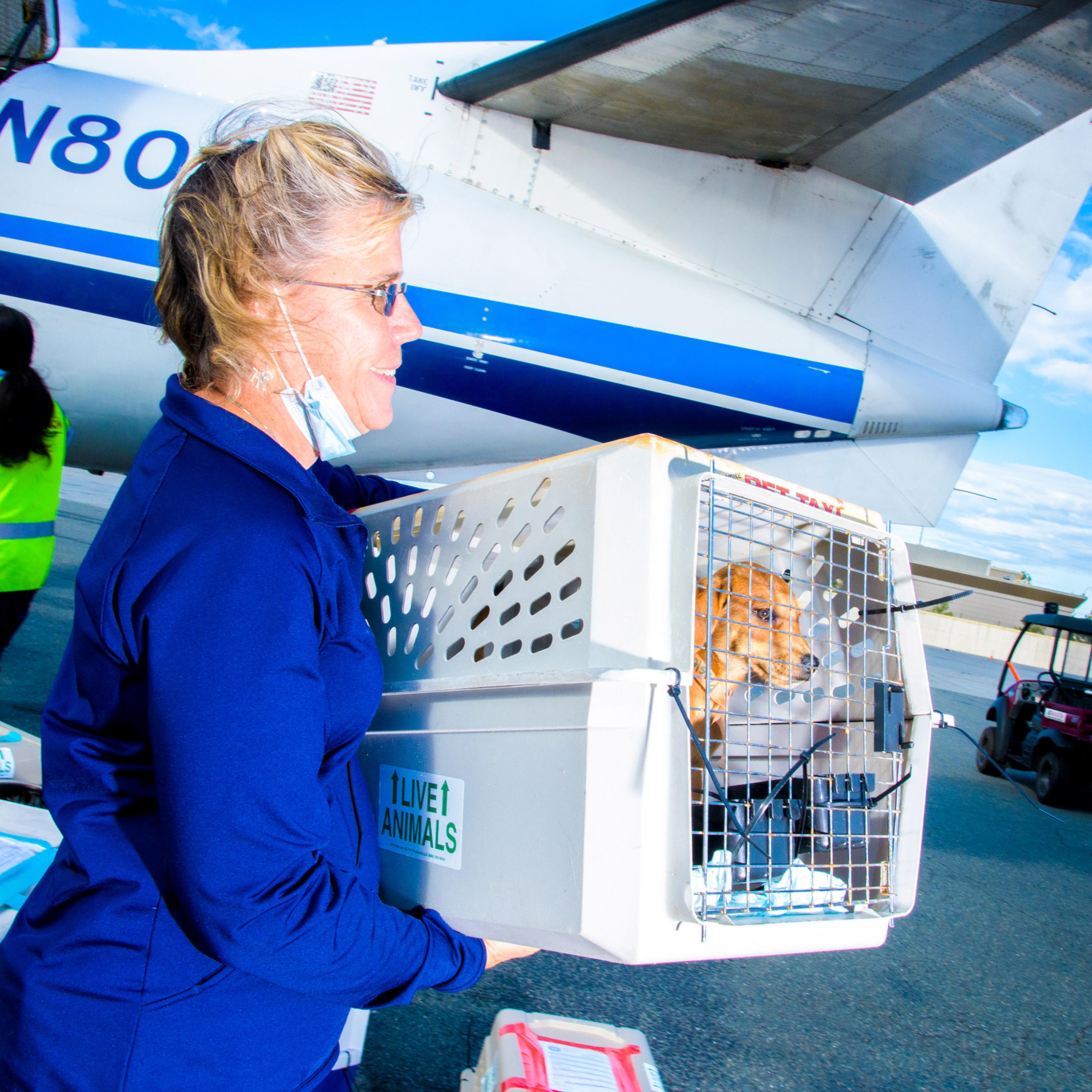 Sheryl Blancato of Second Chance Animal Services carries 2 month-old Presley, who just flew from Mississippi to Massachusetts