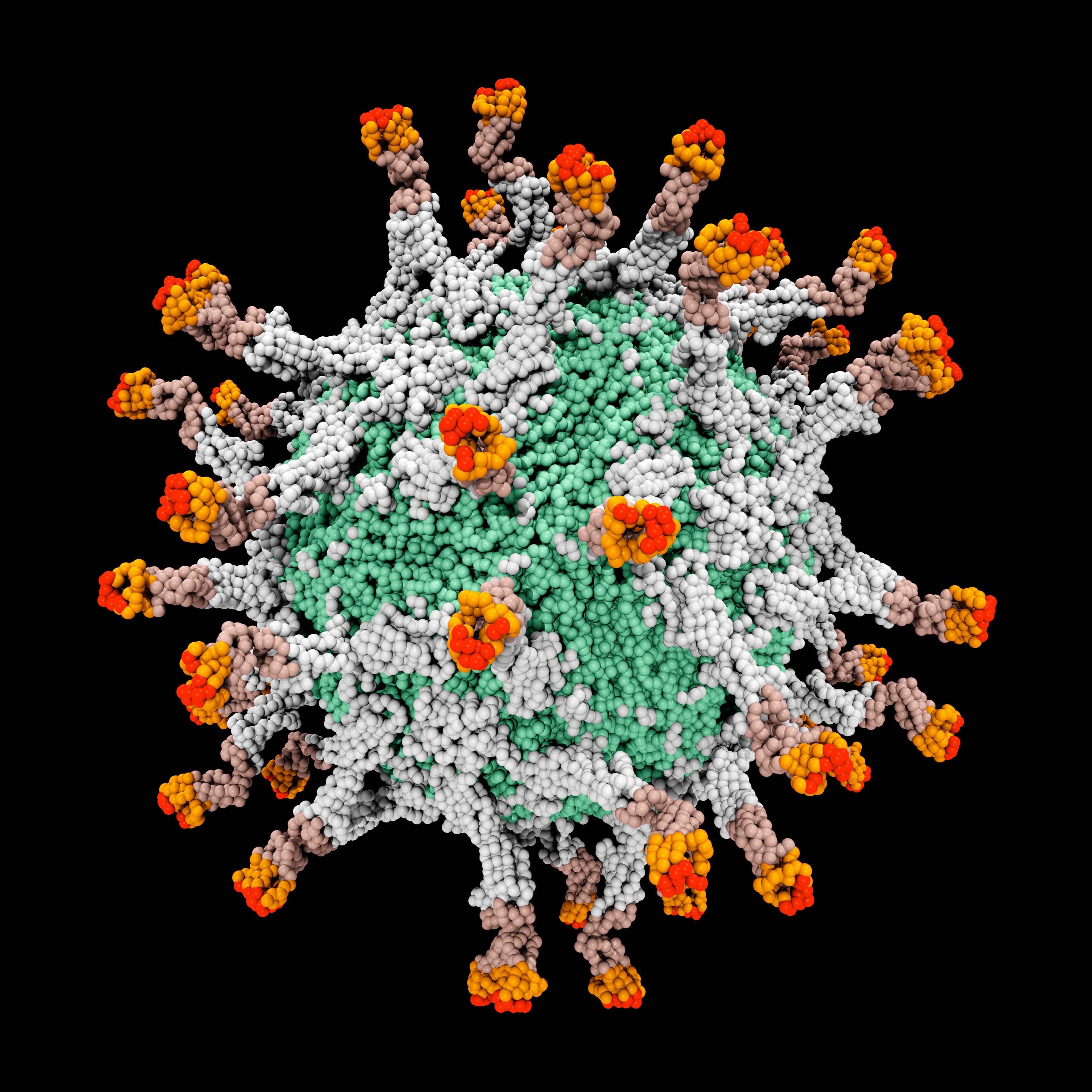 Digitally generated image of 3D molecular model of polio virus