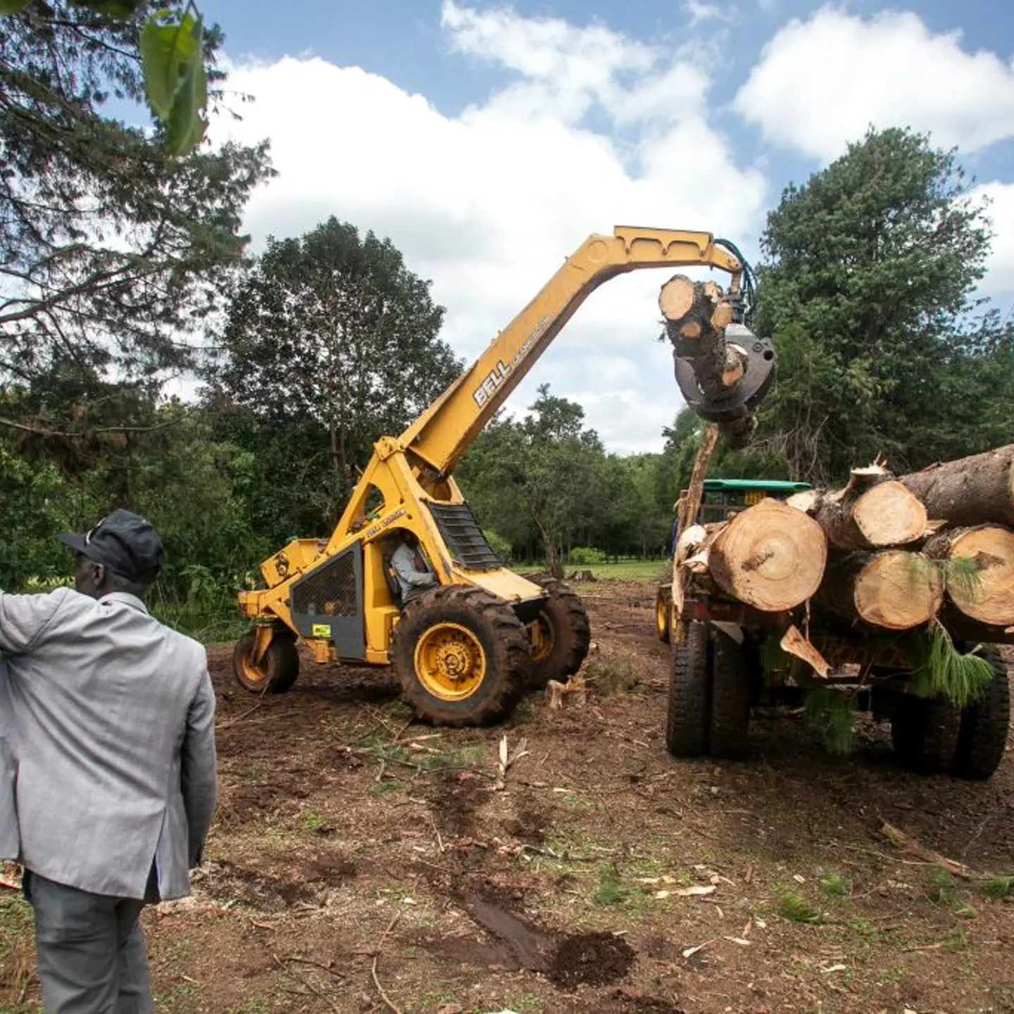 KENYA-ENVIRONMENT-FORESTRY-FOREST-CLIMATE