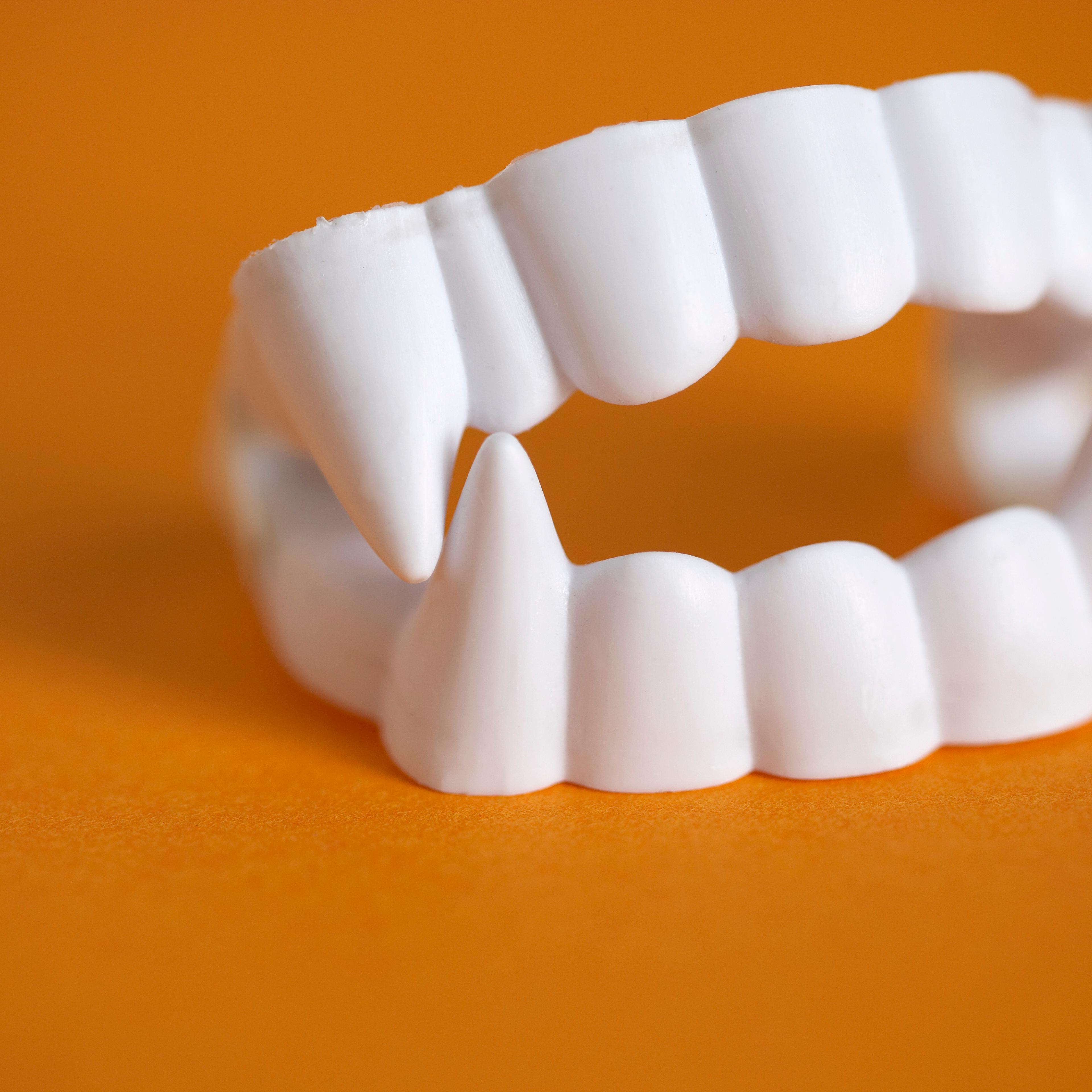 Plastic vampire teeth, close-up