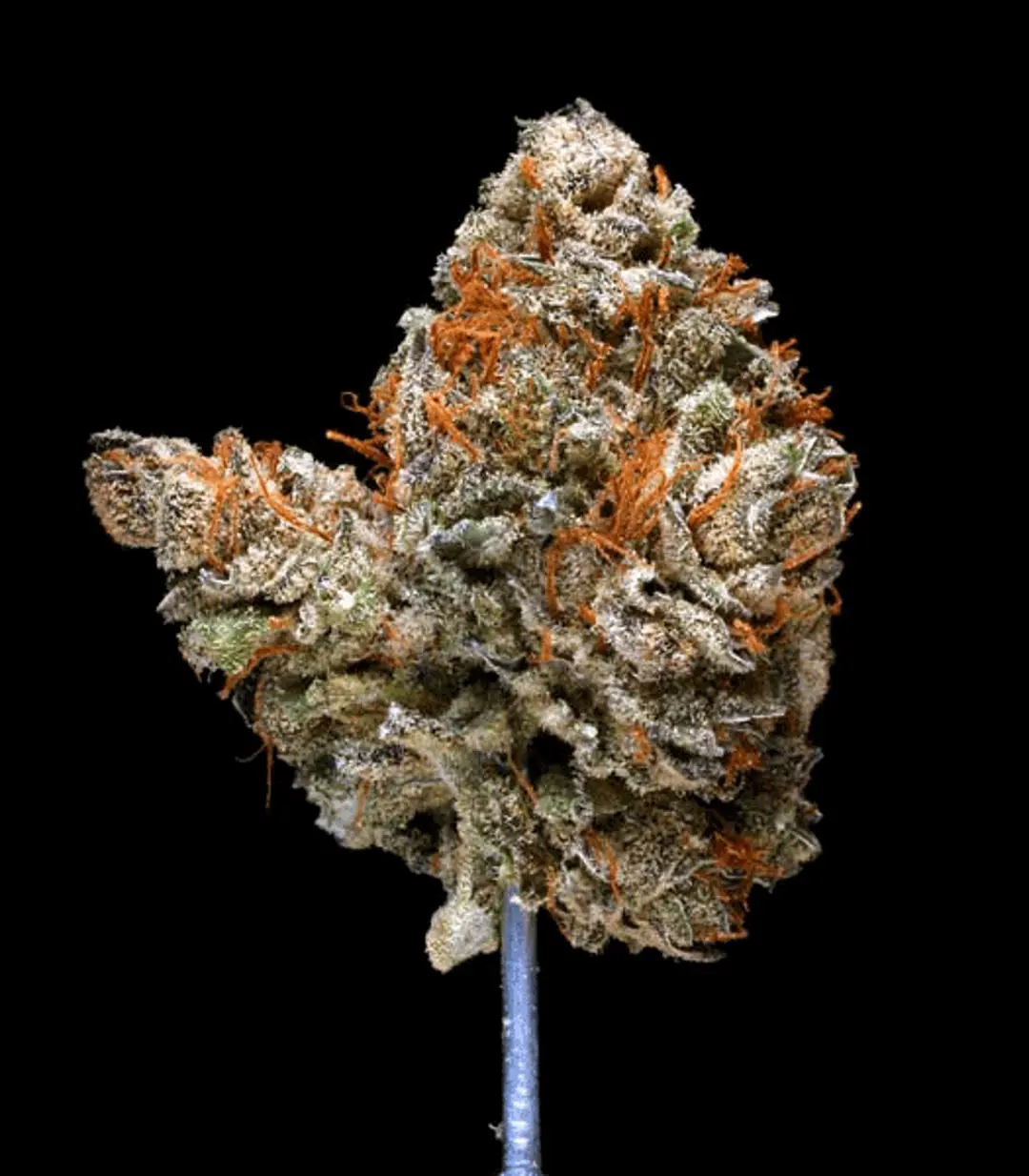 Hindu Kush