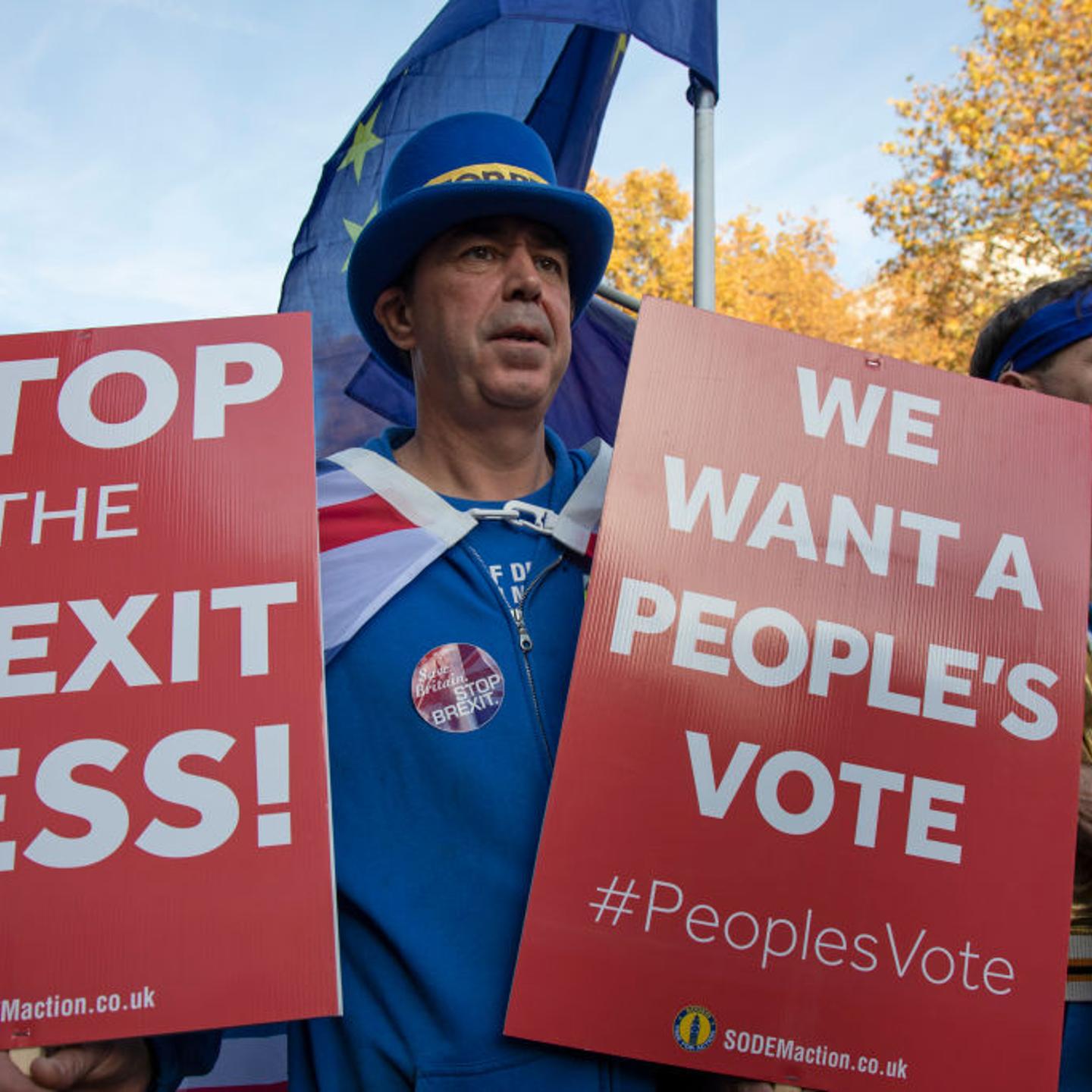 Anti Brexit Protesters In London