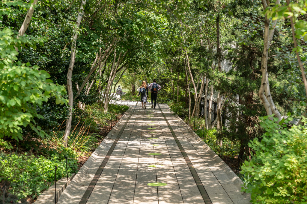 High Line Park